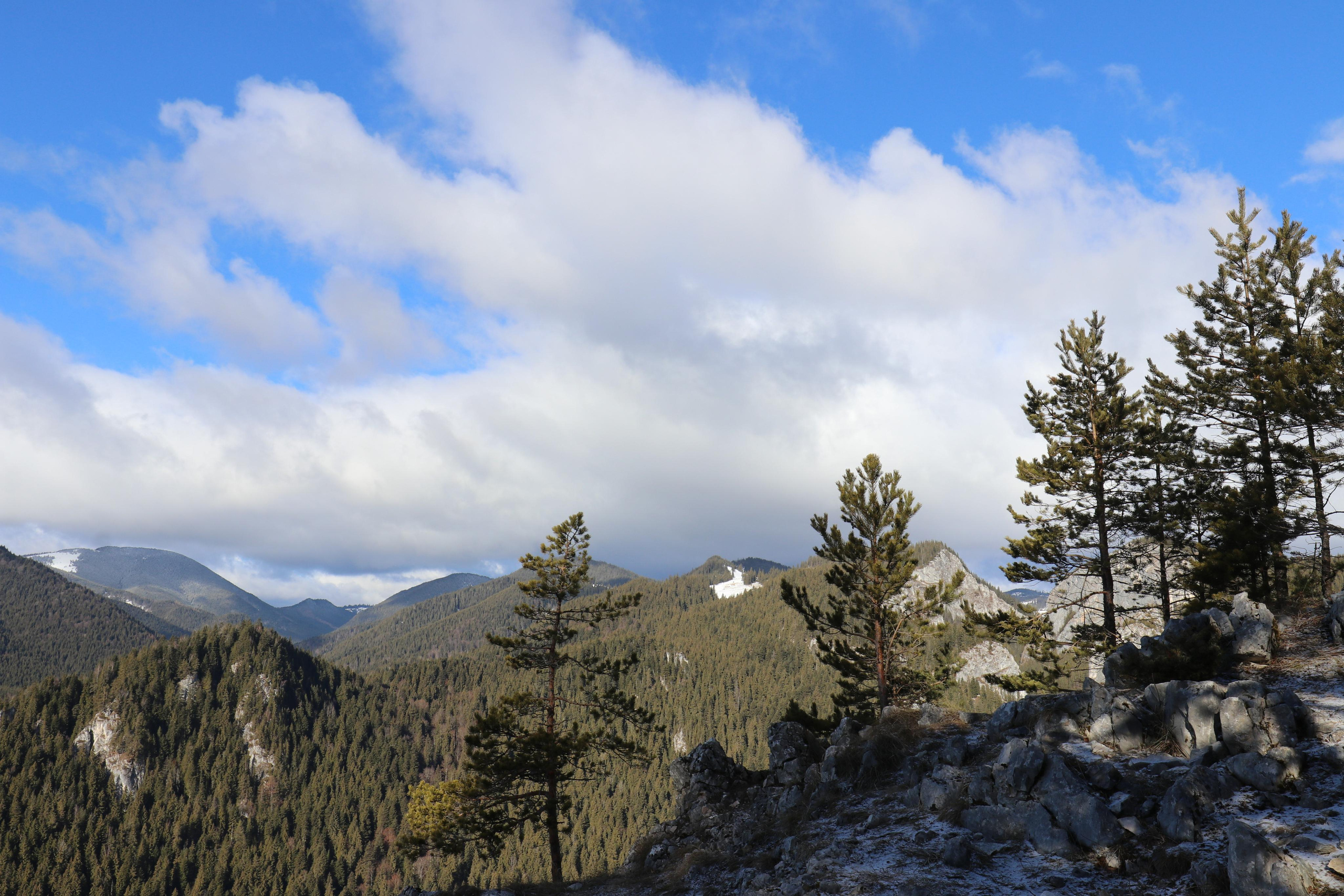 Румыния. Лаку-Рошу. Путешественник-фотограф из Санкт-Петербурга Татьяна Свистулина