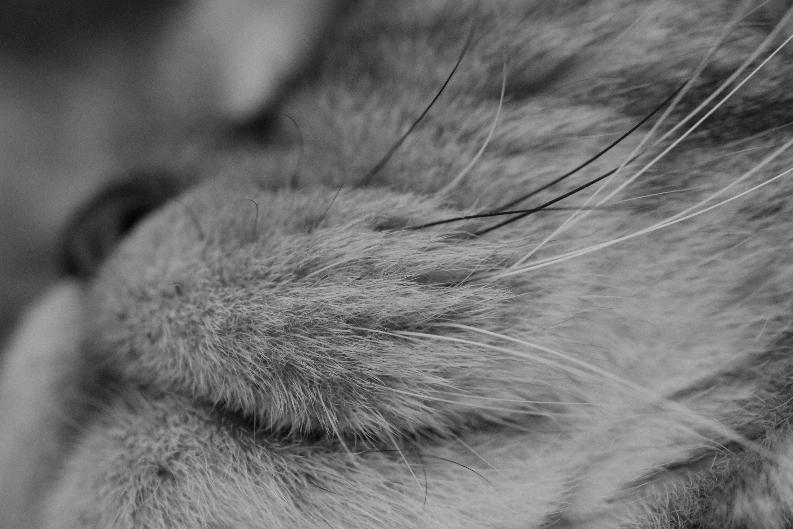 Сильвер. Путешественник-фотограф из Санкт-Петербурга Татьяна Свистулина