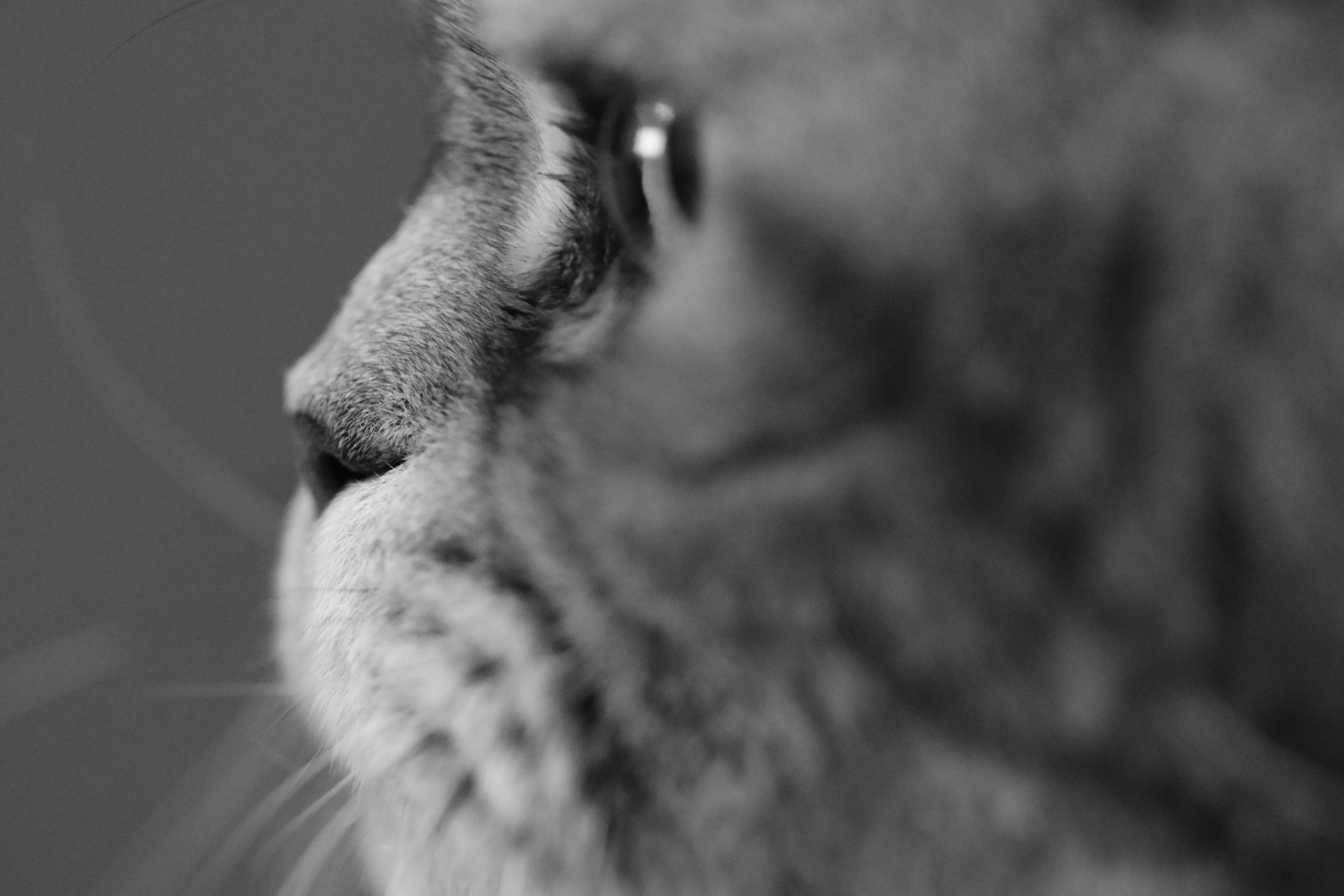 Сильвер. Путешественник-фотограф из Санкт-Петербурга Татьяна Свистулина