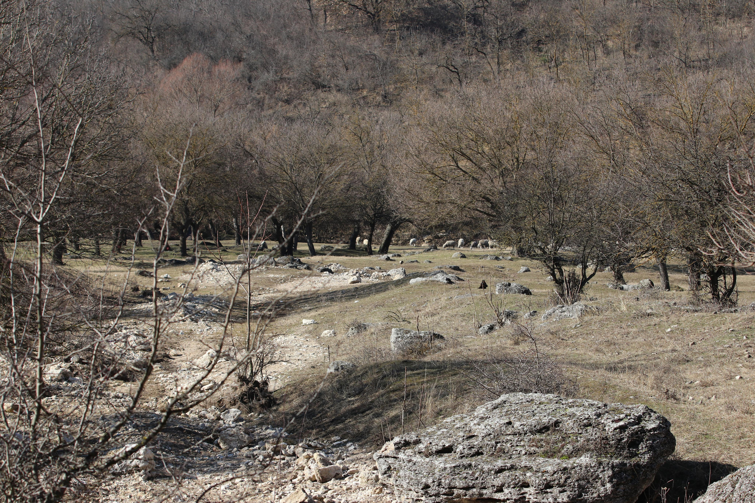 Республика Молдова. Путешественник-фотограф из Санкт-Петербурга Татьяна Свистулина