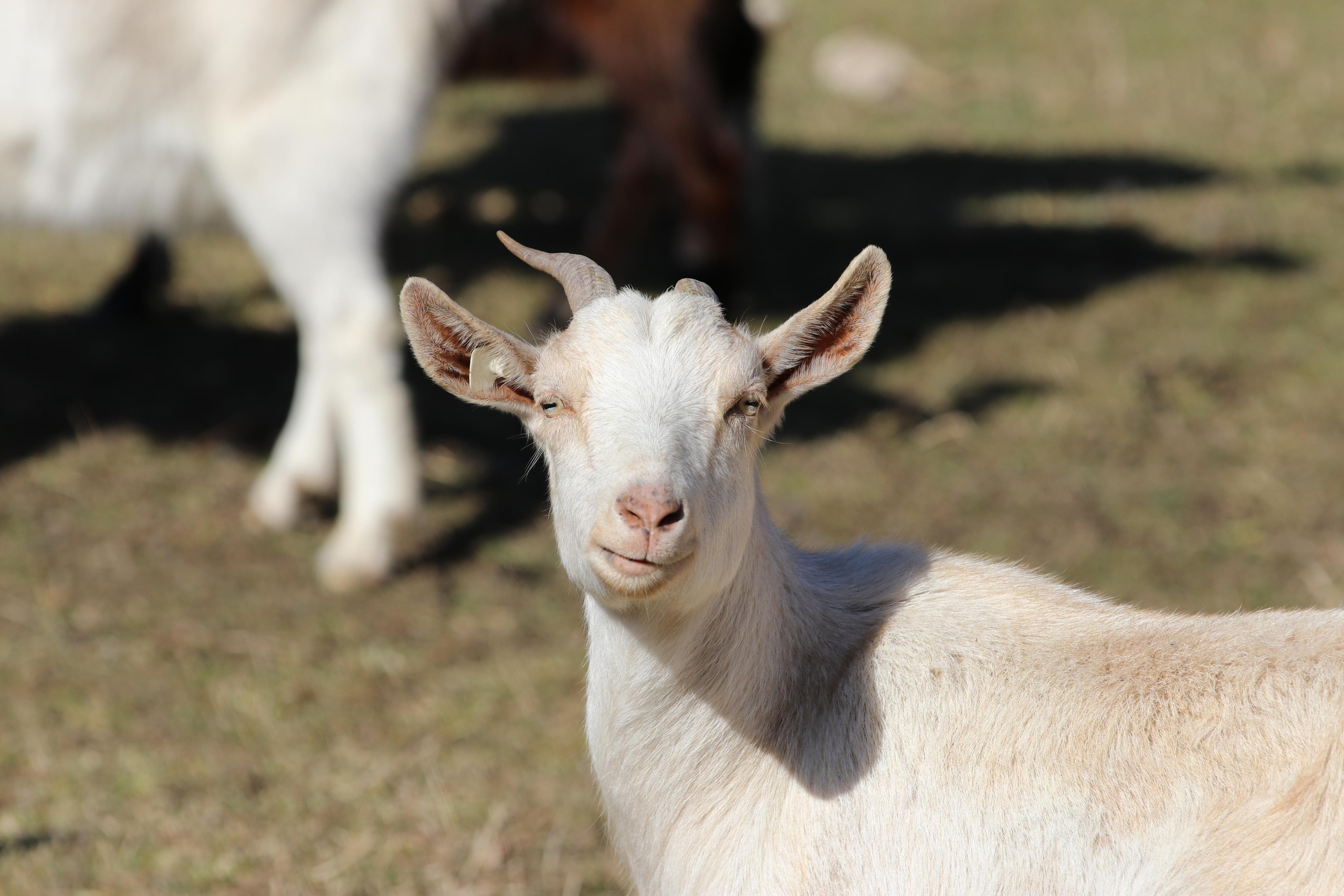 Республика Молдова. Путешественник-фотограф из Санкт-Петербурга Татьяна Свистулина