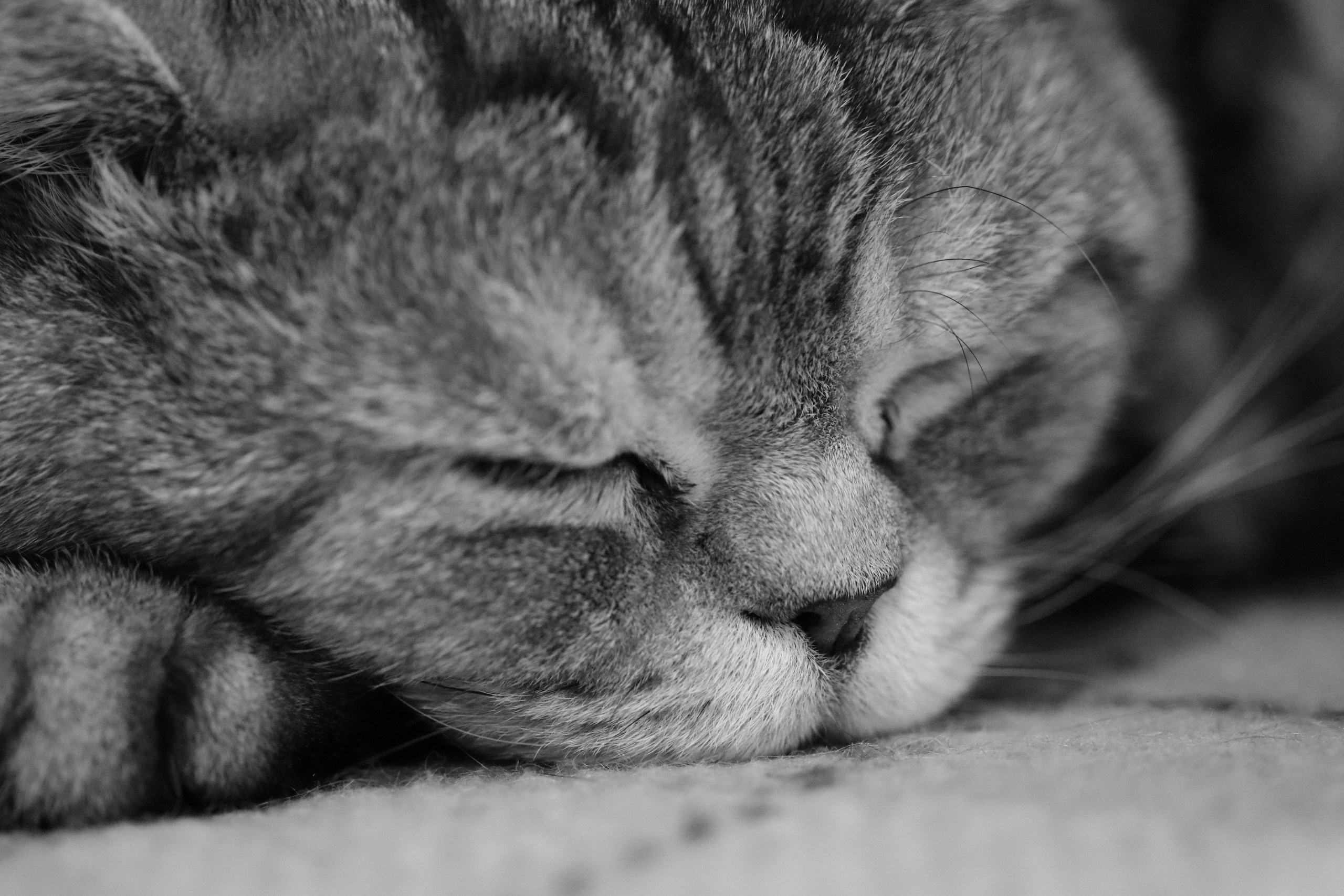 Сильвер. Путешественник-фотограф из Санкт-Петербурга Татьяна Свистулина