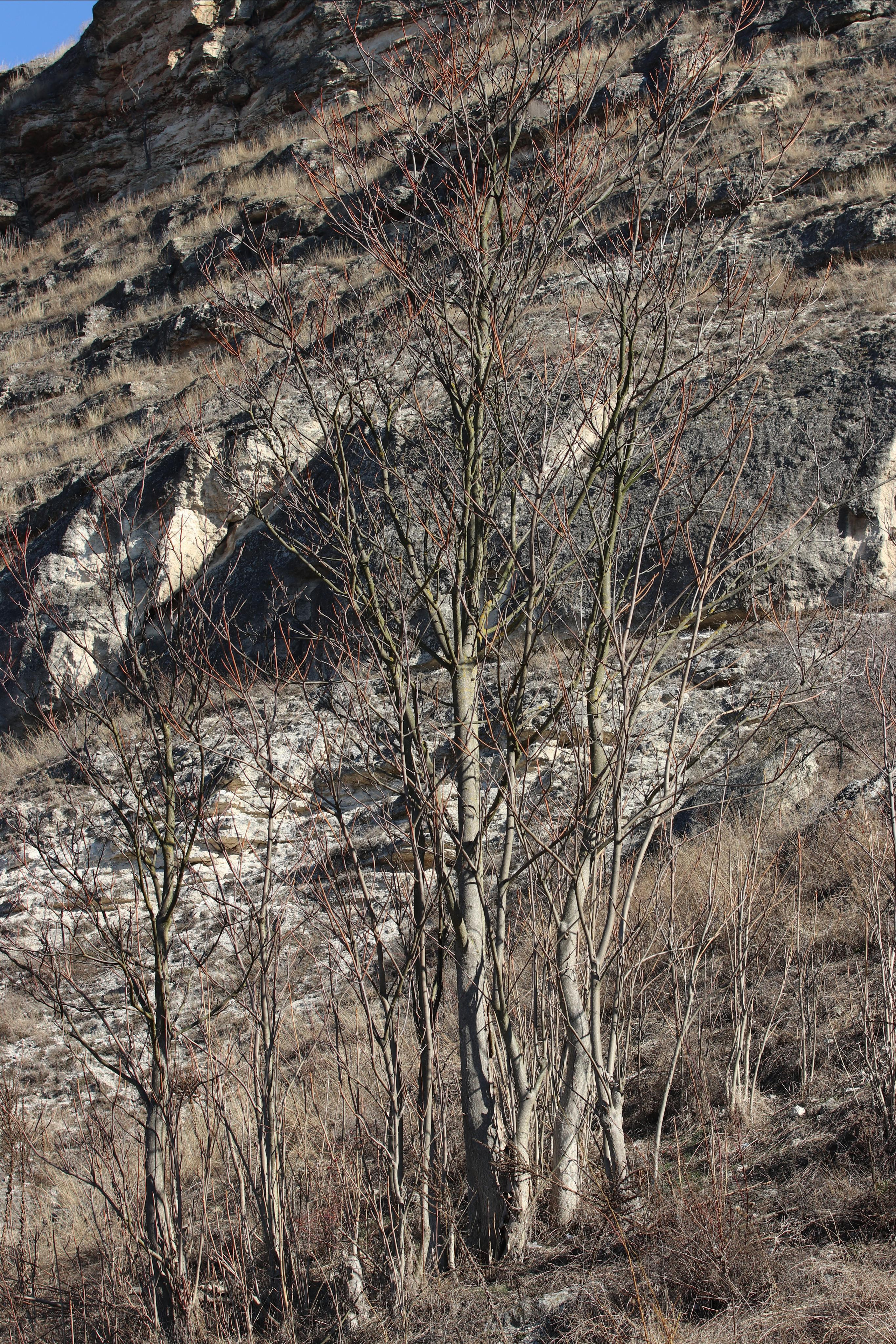 Республика Молдова. Путешественник-фотограф из Санкт-Петербурга Татьяна Свистулина