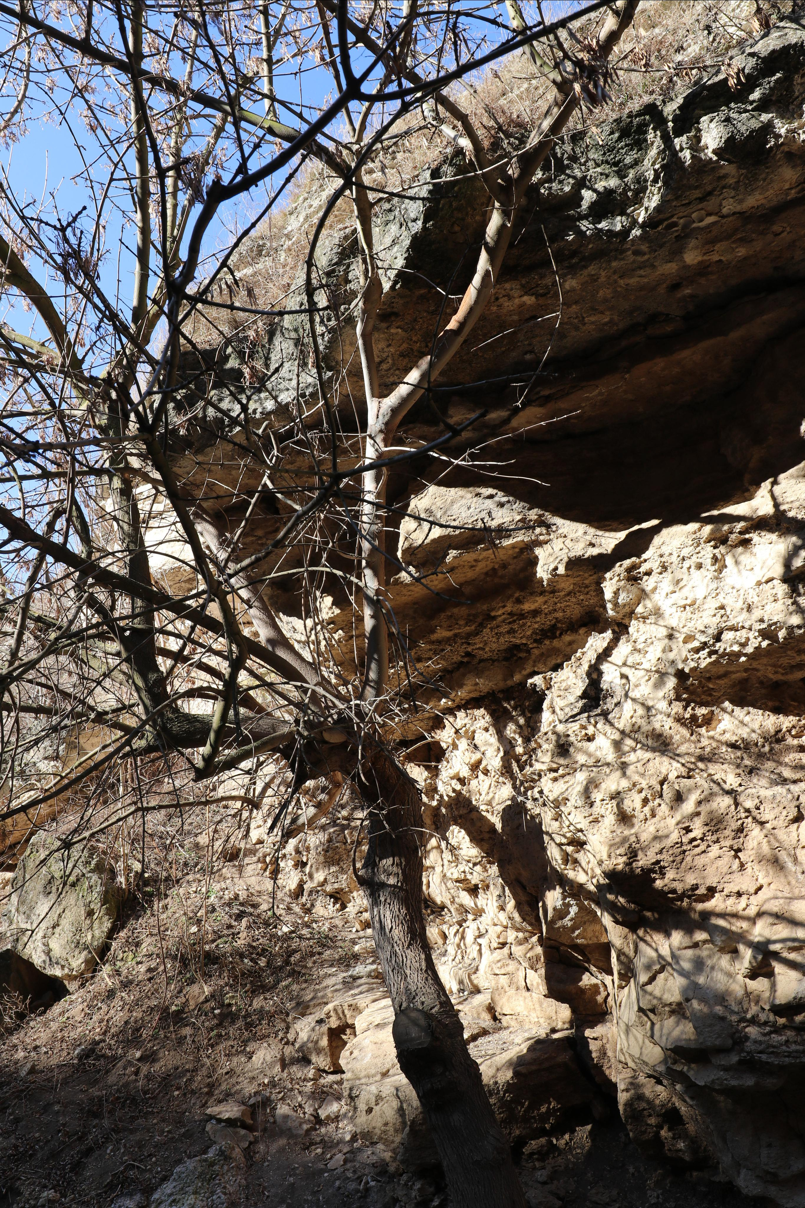 Республика Молдова. Путешественник-фотограф из Санкт-Петербурга Татьяна Свистулина