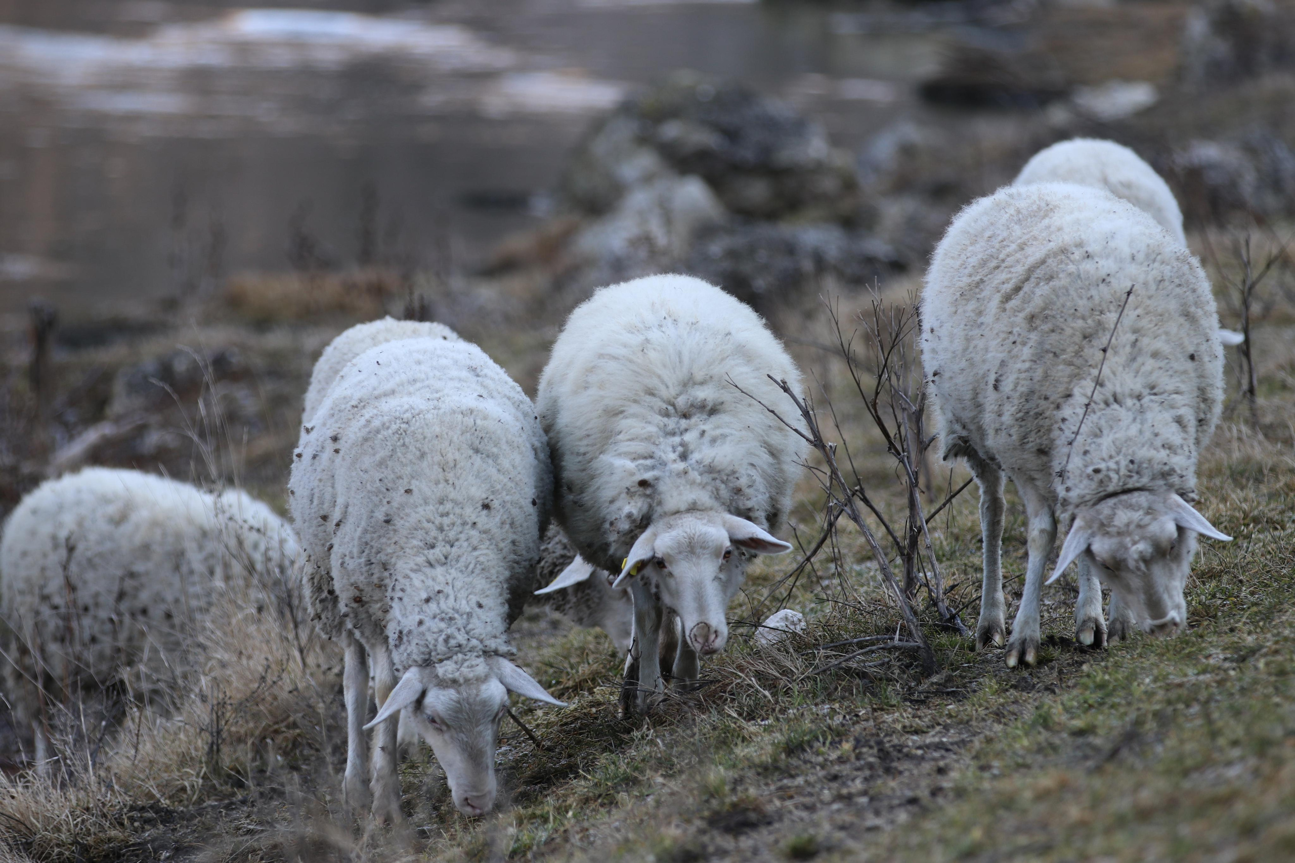 Республика Молдова. Путешественник-фотограф из Санкт-Петербурга Татьяна Свистулина