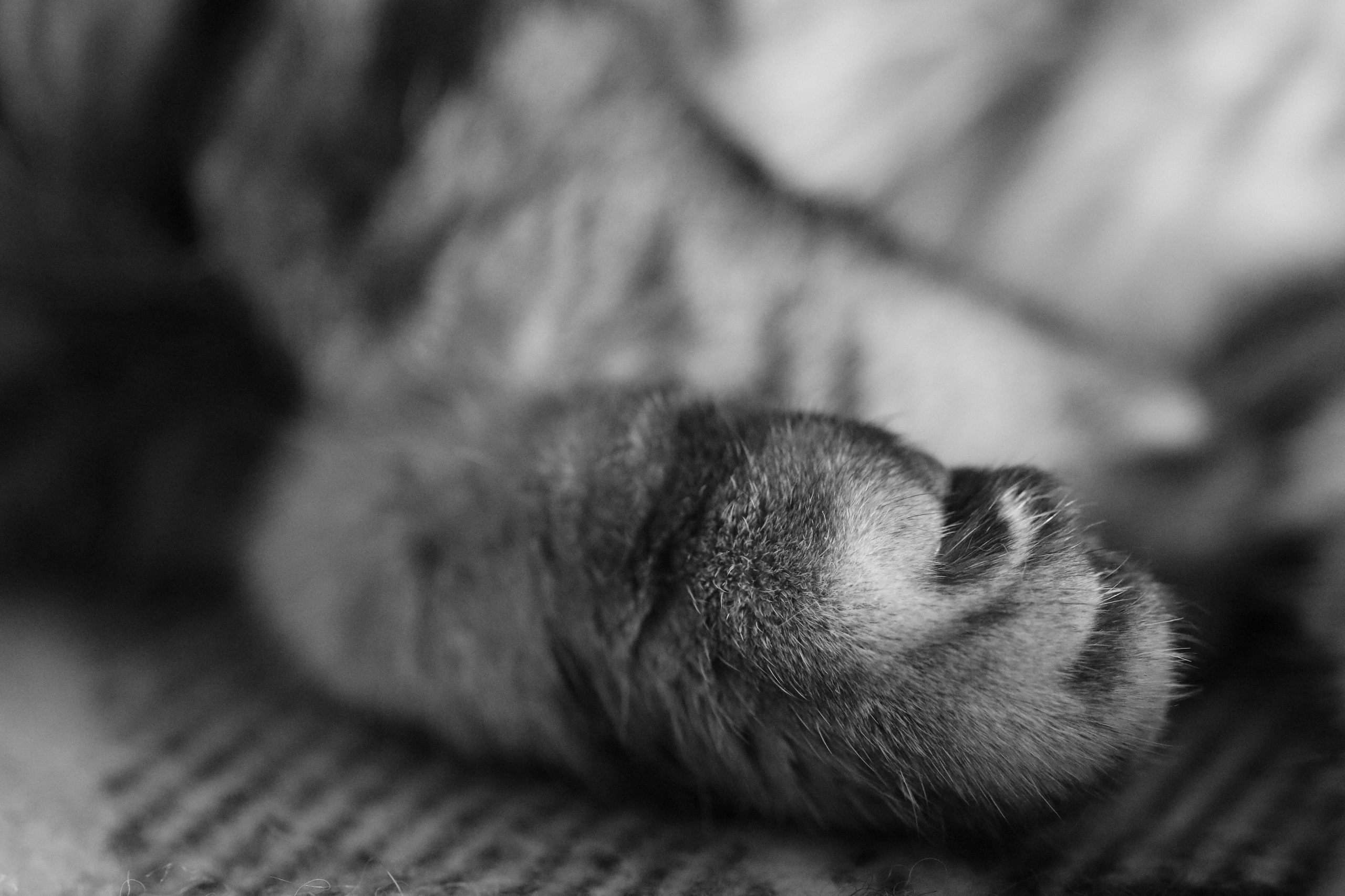 Сильвер. Путешественник-фотограф из Санкт-Петербурга Татьяна Свистулина