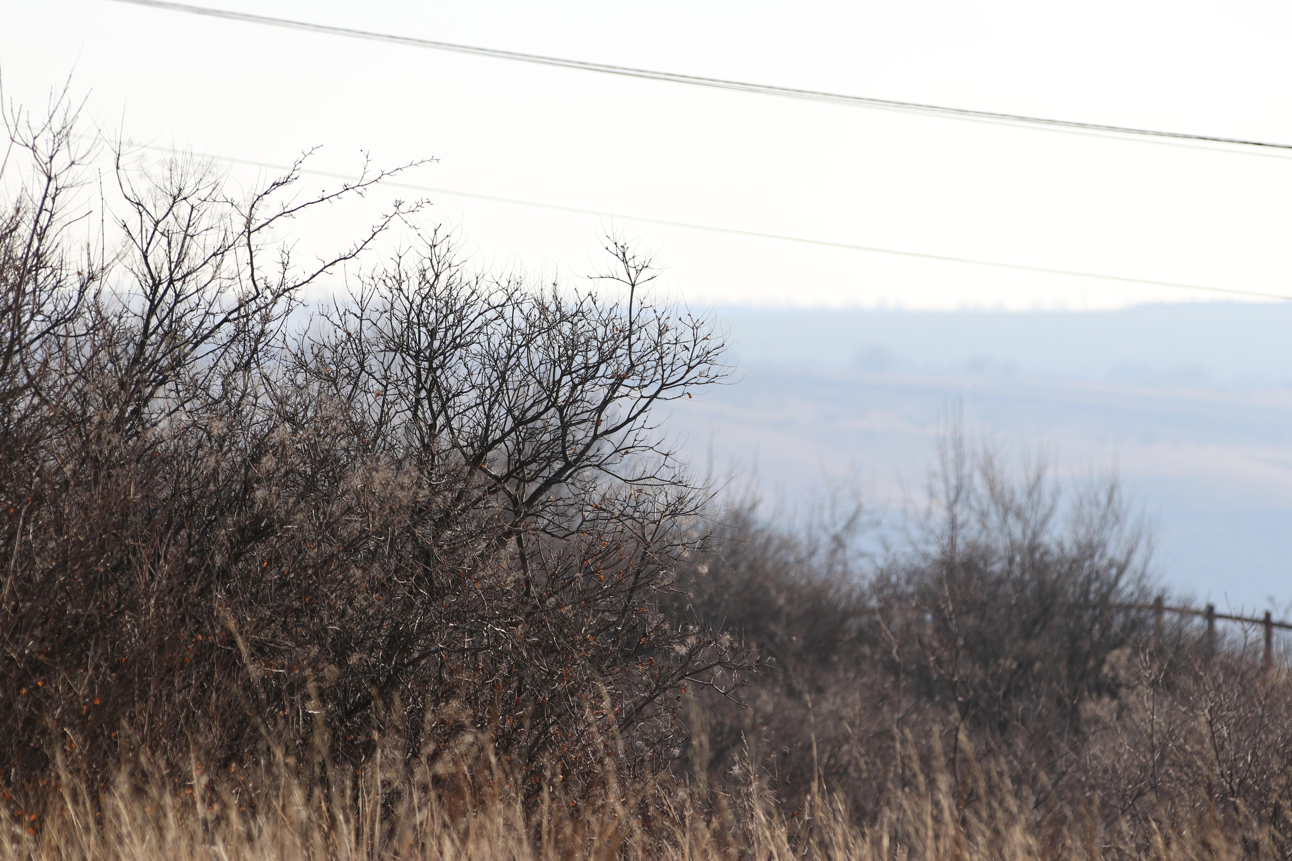 Республика Молдова. Путешественник-фотограф из Санкт-Петербурга Татьяна Свистулина