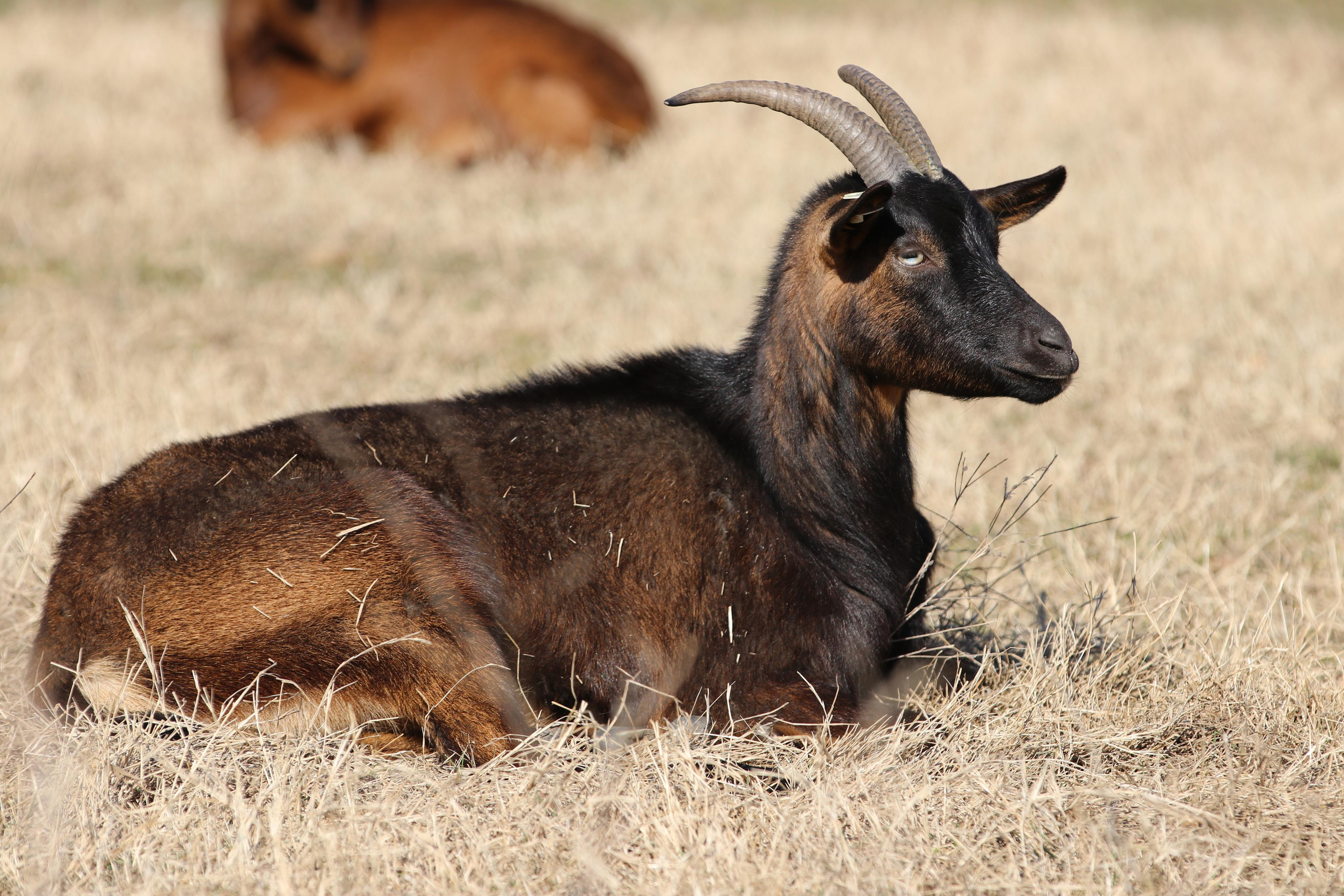 Республика Молдова. Путешественник-фотограф из Санкт-Петербурга Татьяна Свистулина