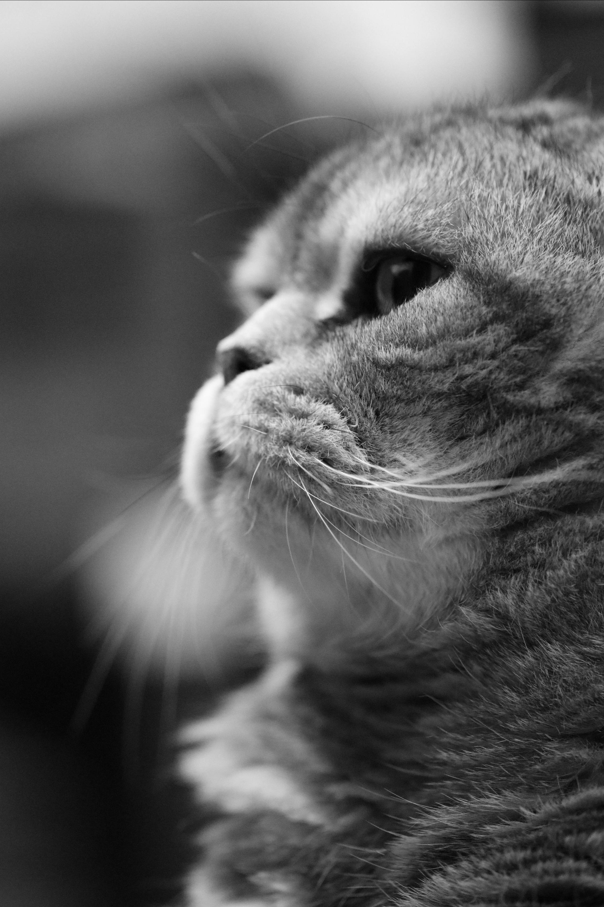 Сильвер. Путешественник-фотограф из Санкт-Петербурга Татьяна Свистулина