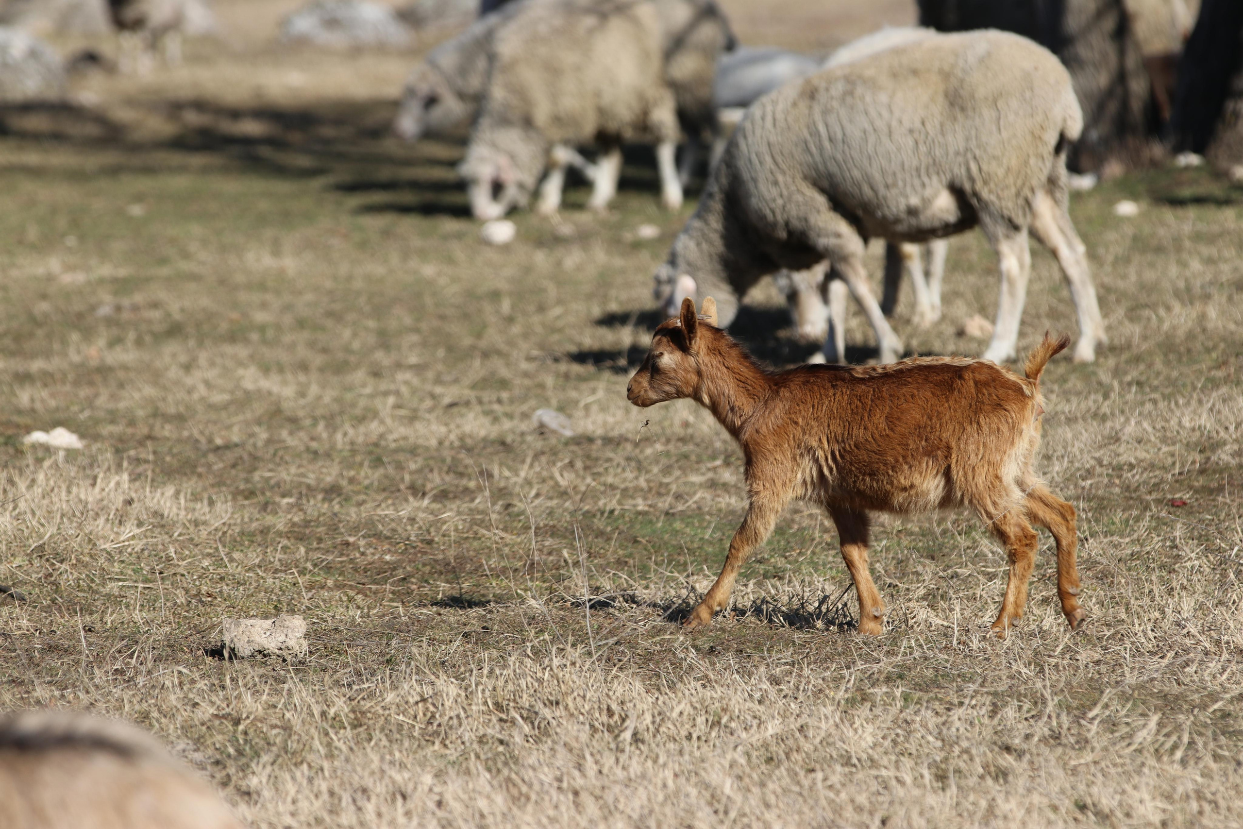 Республика Молдова. Путешественник-фотограф из Санкт-Петербурга Татьяна Свистулина