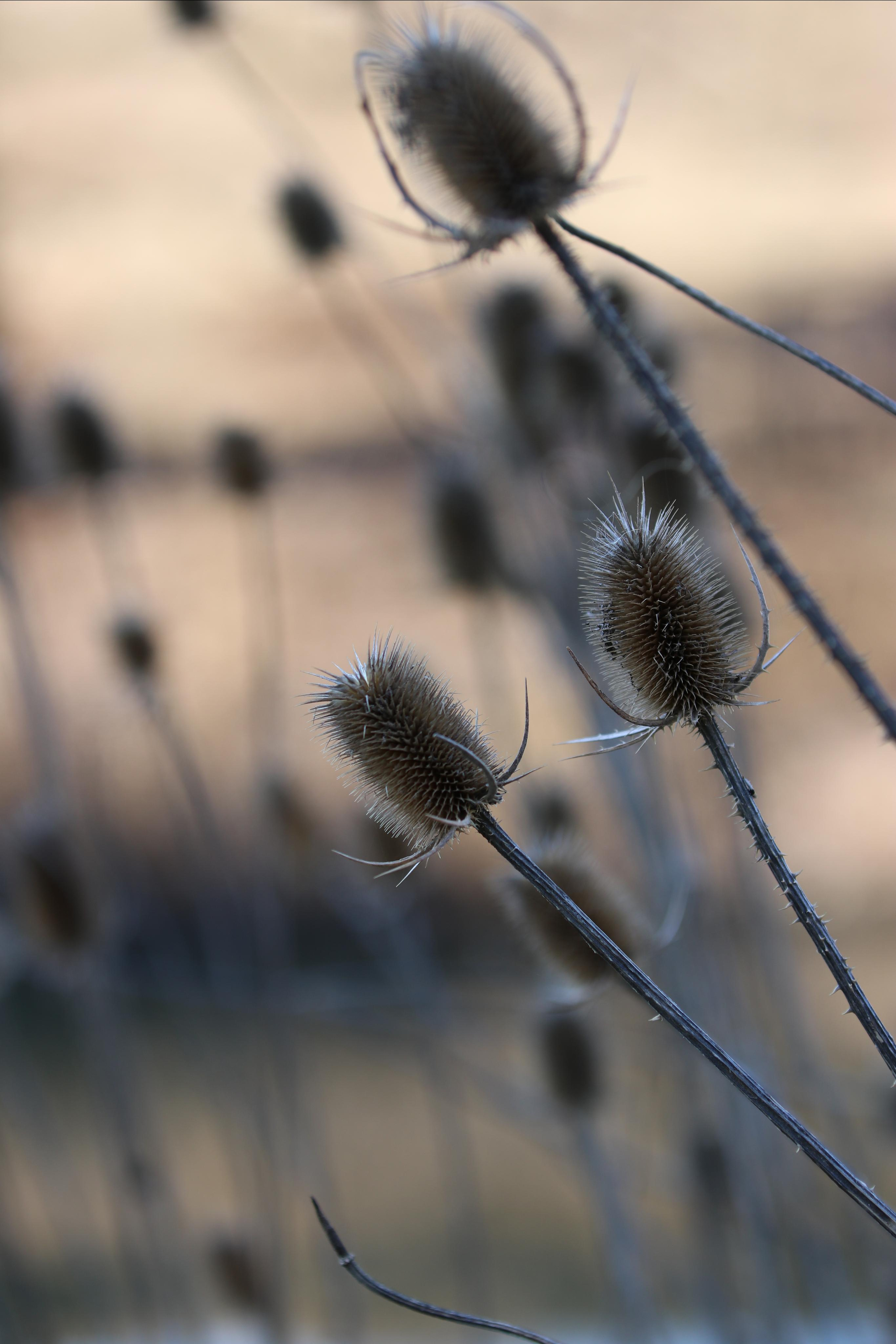 Республика Молдова. Путешественник-фотограф из Санкт-Петербурга Татьяна Свистулина