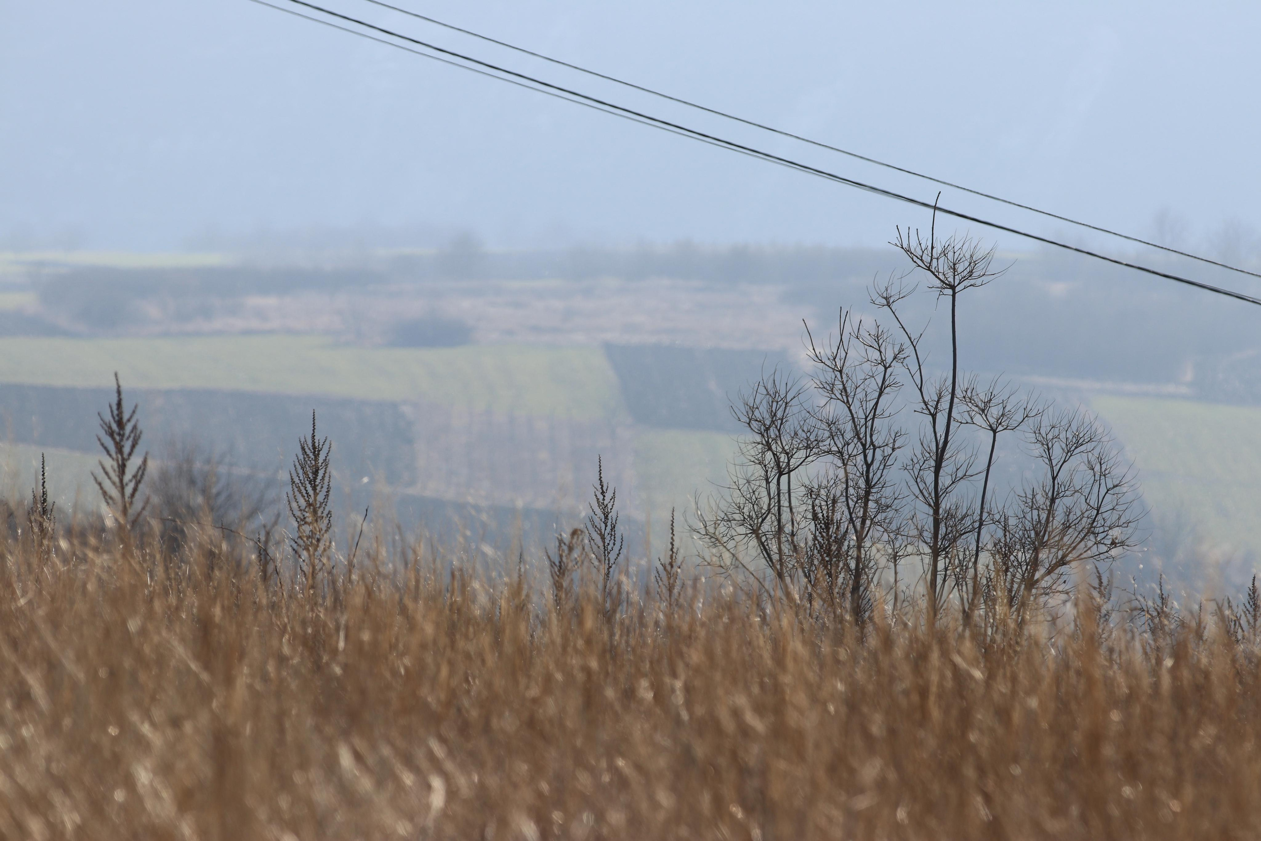 Республика Молдова. Путешественник-фотограф из Санкт-Петербурга Татьяна Свистулина
