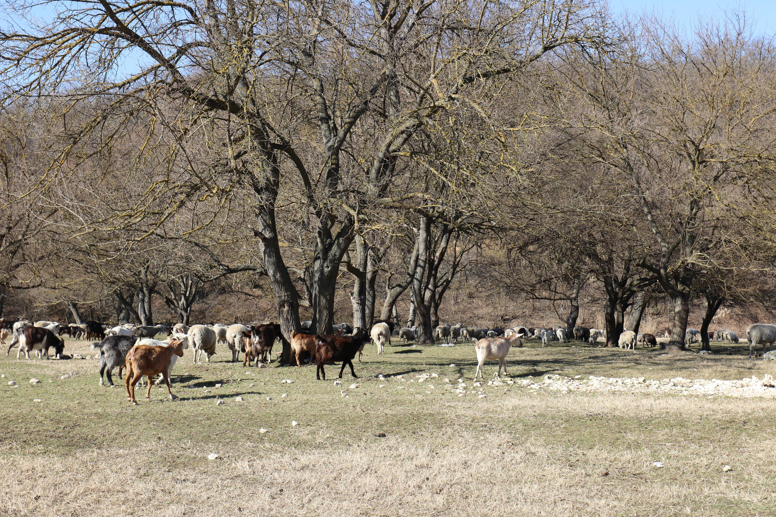 Республика Молдова. Путешественник-фотограф из Санкт-Петербурга Татьяна Свистулина