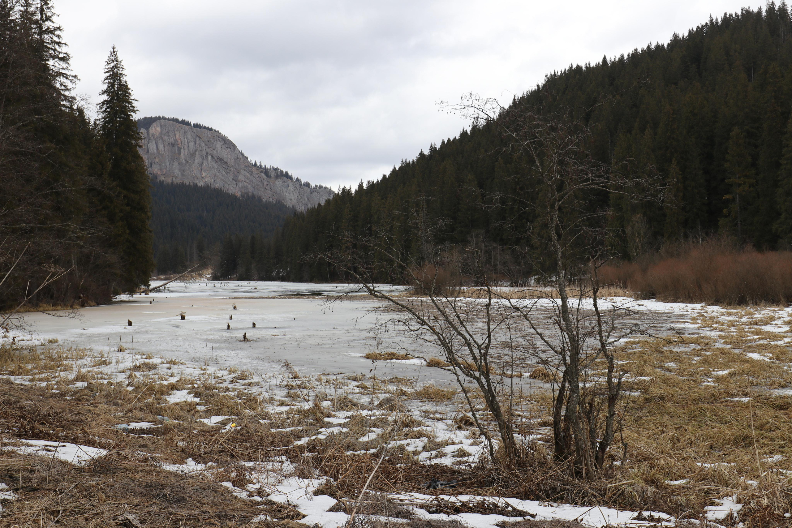 Румыния. Лаку-Рошу. Путешественник-фотограф из Санкт-Петербурга Татьяна Свистулина