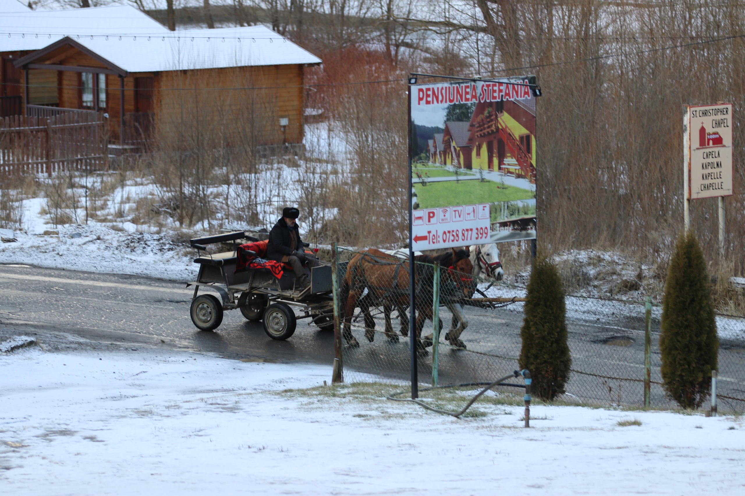 Колоритный житель Румынии