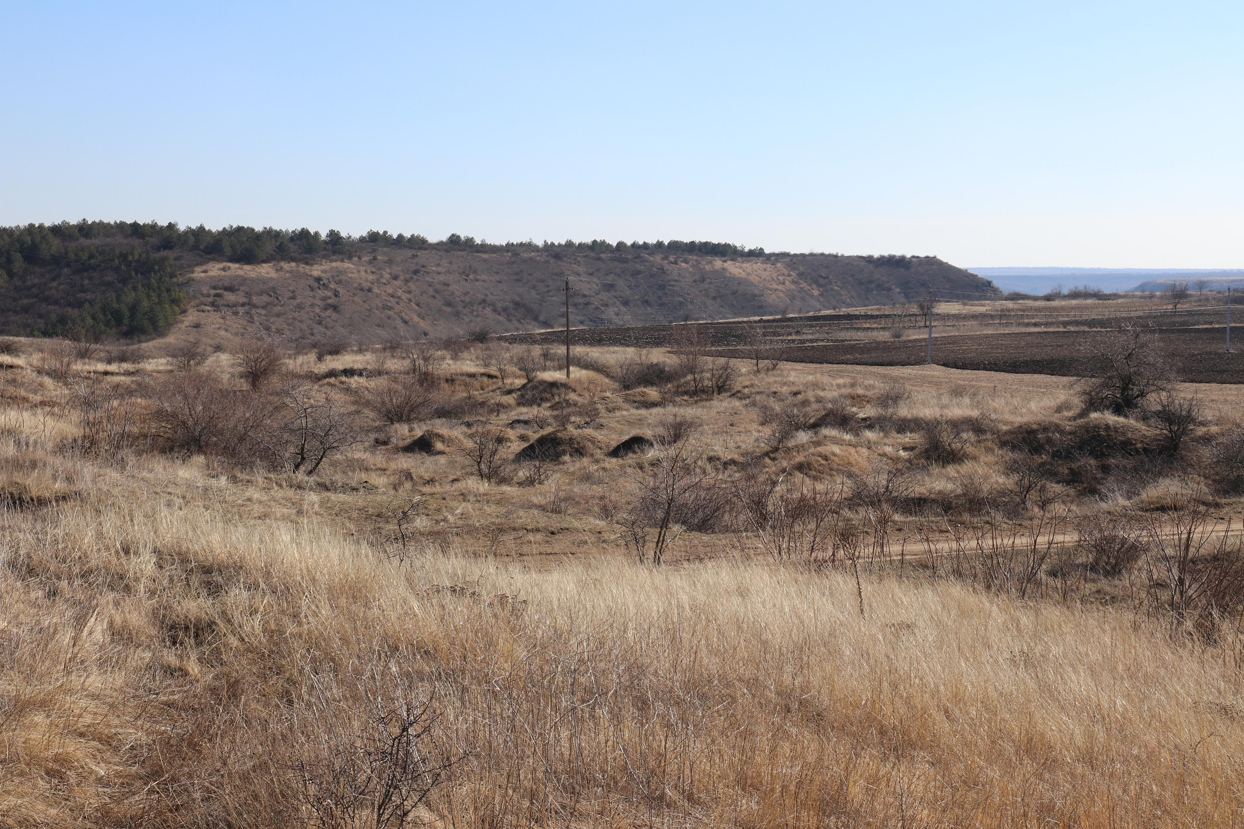 Республика Молдова. Путешественник-фотограф из Санкт-Петербурга Татьяна Свистулина