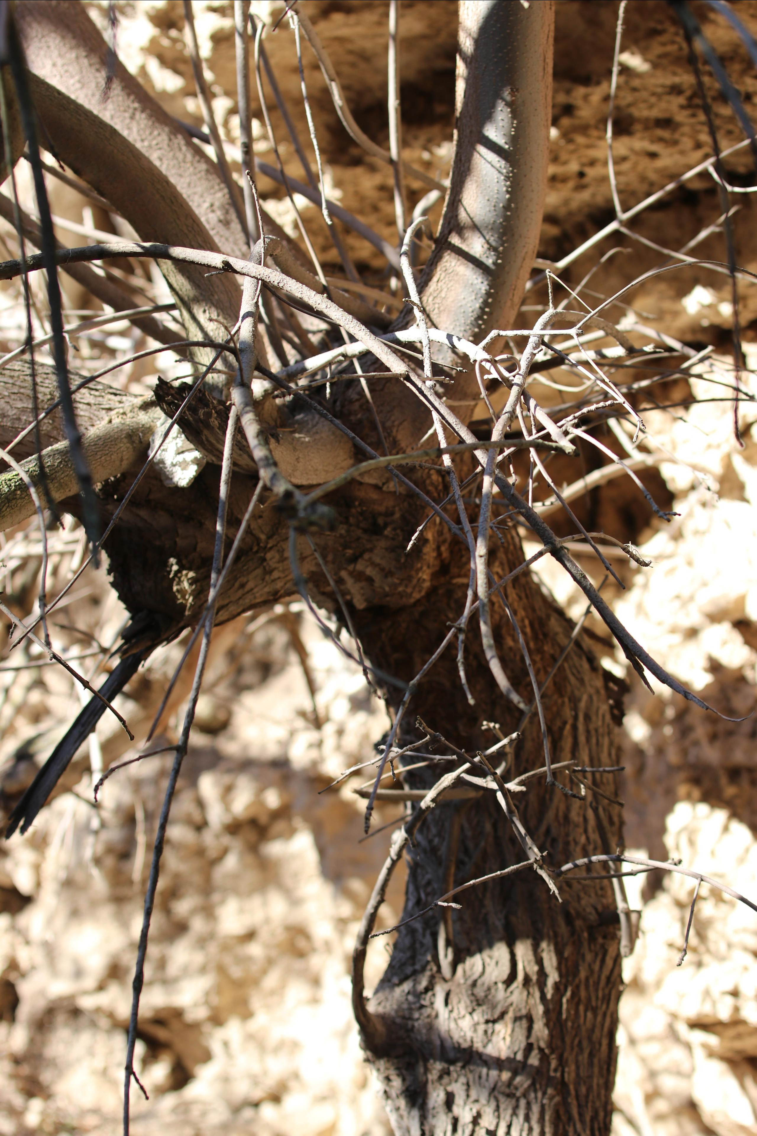 Республика Молдова. Путешественник-фотограф из Санкт-Петербурга Татьяна Свистулина