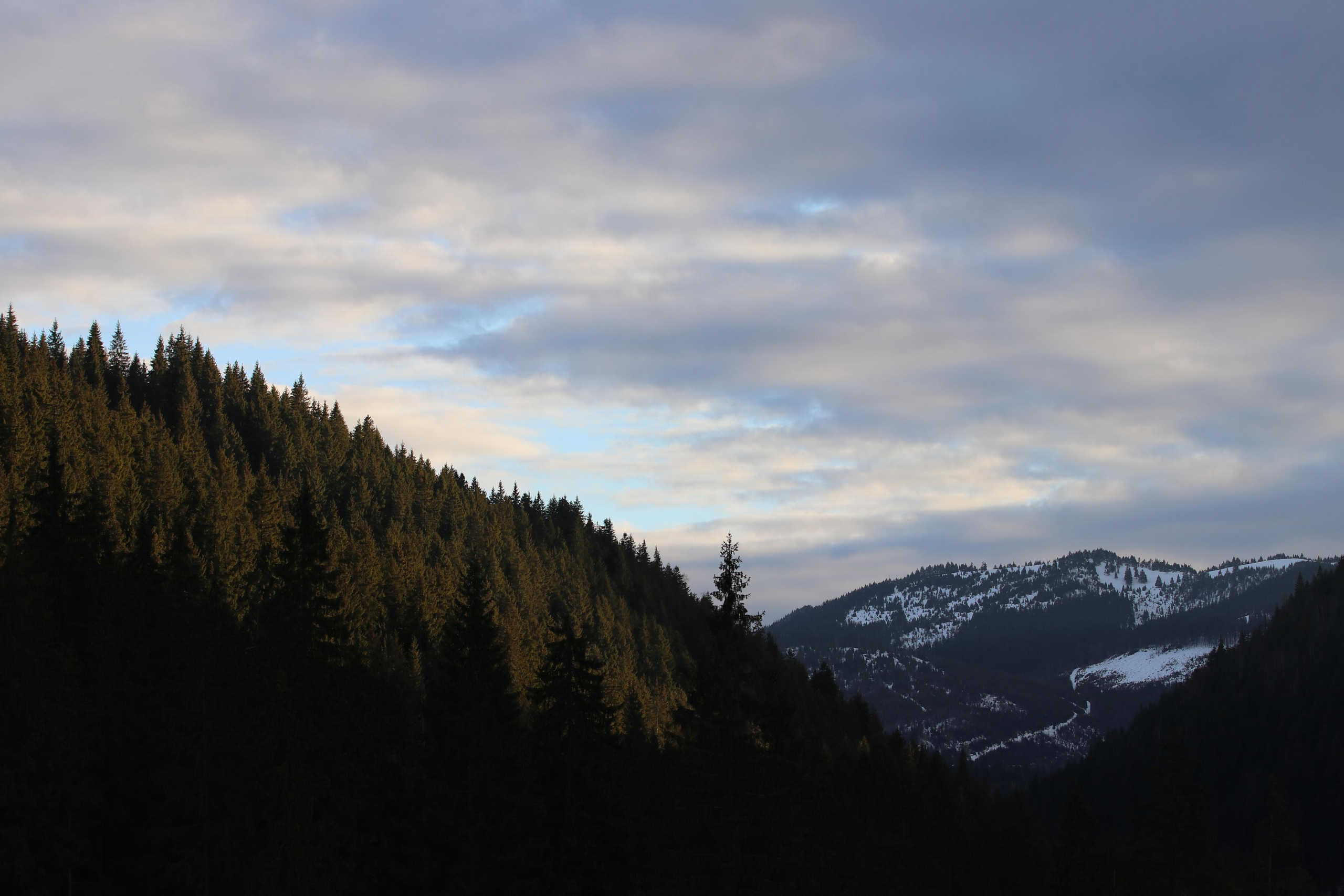 Румыния. Лаку-Рошу. Путешественник-фотограф из Санкт-Петербурга Татьяна Свистулина