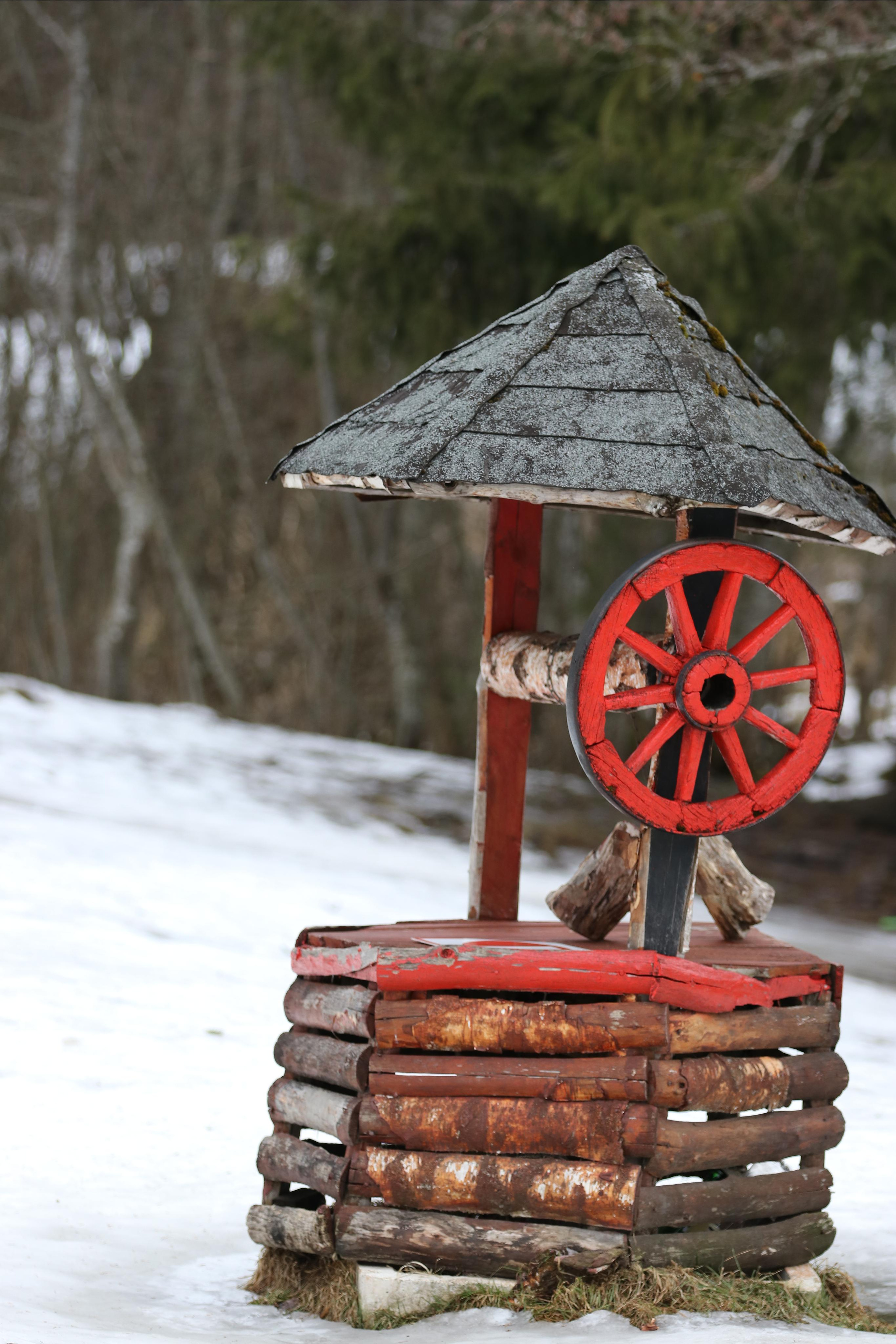 Румыния. Лаку-Рошу. Путешественник-фотограф из Санкт-Петербурга Татьяна Свистулина