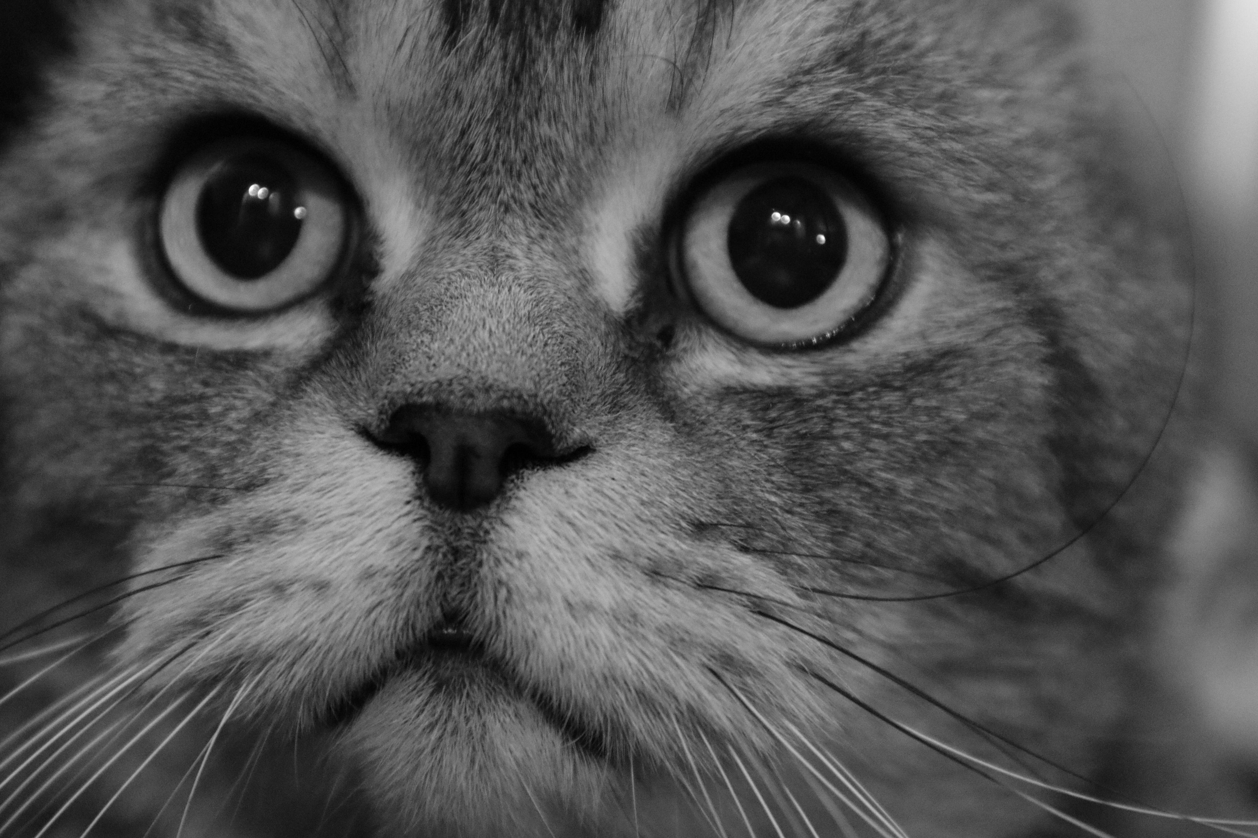 Сильвер. Путешественник-фотограф из Санкт-Петербурга Татьяна Свистулина