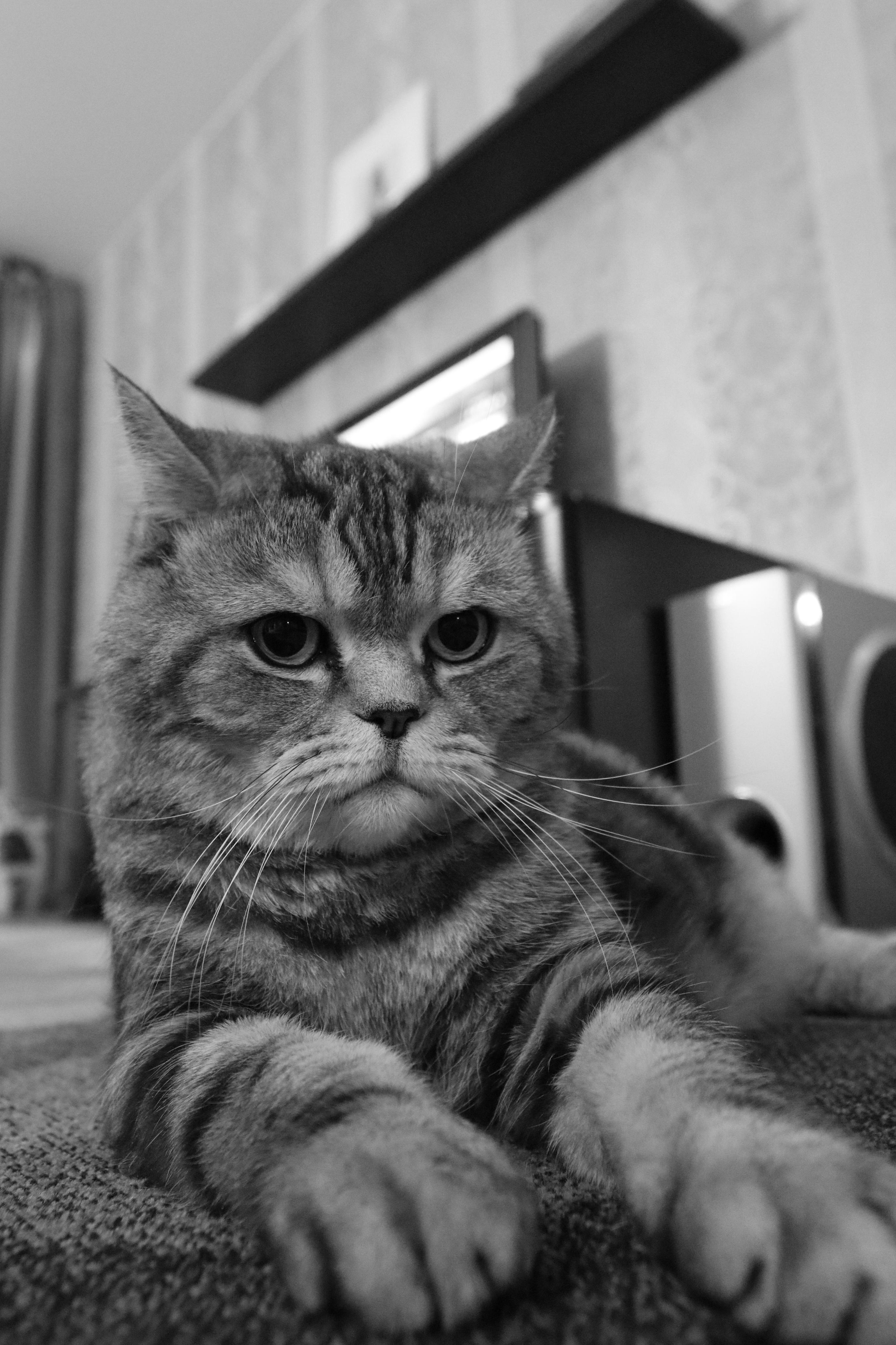 Сильвер. Путешественник-фотограф из Санкт-Петербурга Татьяна Свистулина