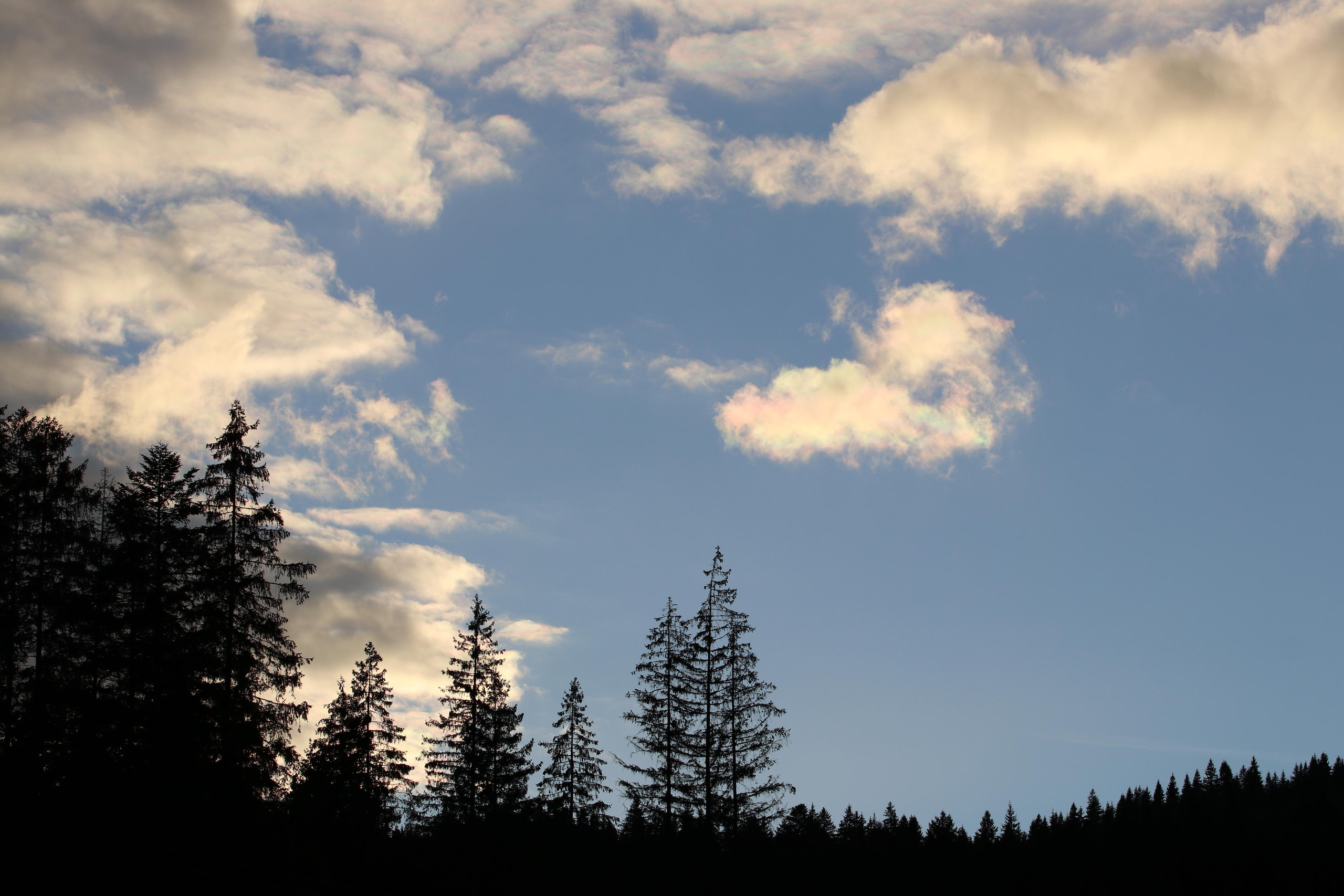 Румыния. Лаку-Рошу. Путешественник-фотограф из Санкт-Петербурга Татьяна Свистулина