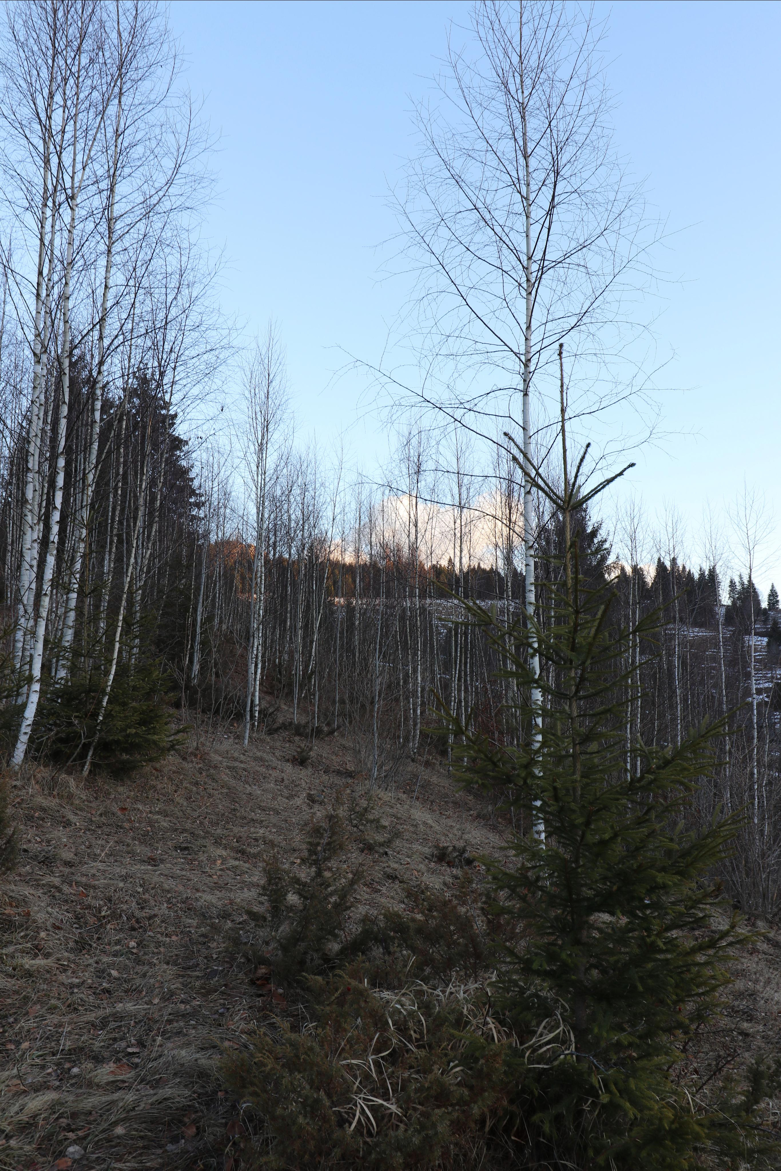 Румыния. Лаку-Рошу. Путешественник-фотограф из Санкт-Петербурга Татьяна Свистулина
