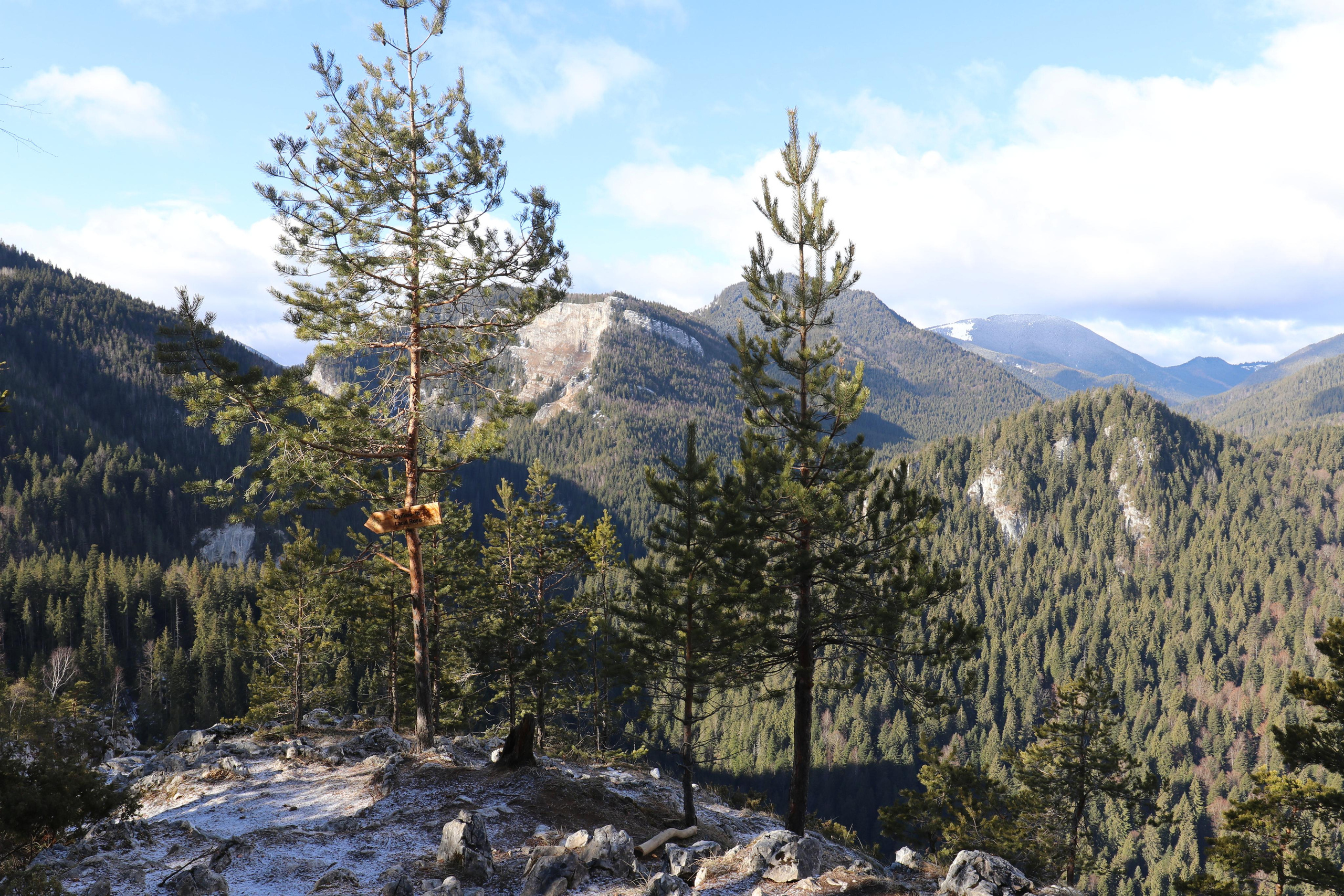 Румыния. Лаку-Рошу. Путешественник-фотограф из Санкт-Петербурга Татьяна Свистулина