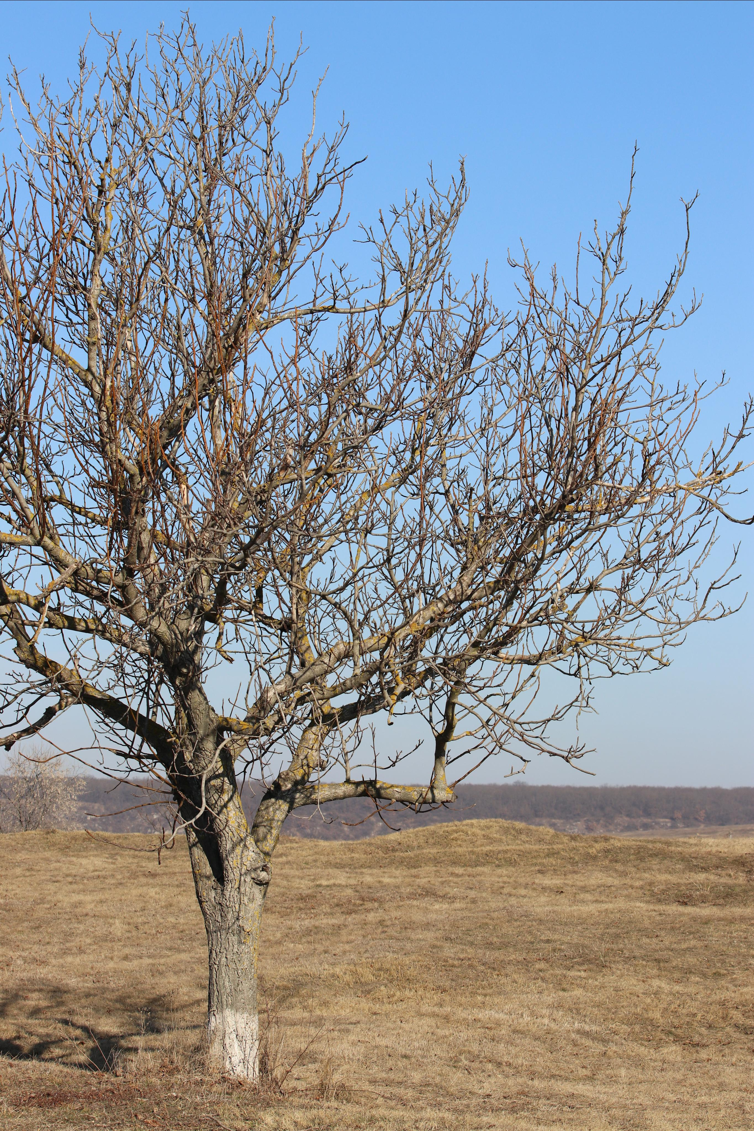 Республика Молдова. Путешественник-фотограф из Санкт-Петербурга Татьяна Свистулина