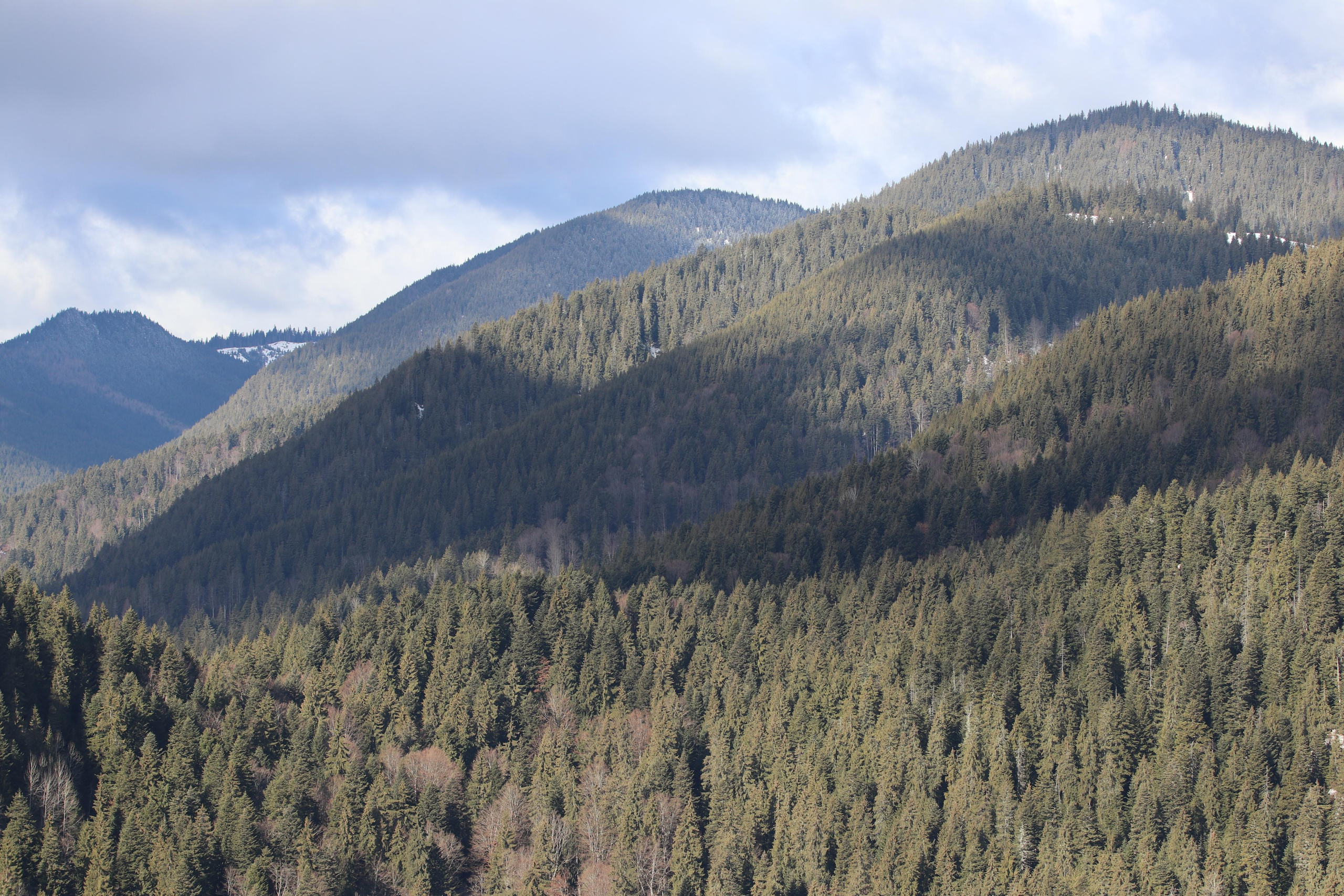 Румыния. Лаку-Рошу. Путешественник-фотограф из Санкт-Петербурга Татьяна Свистулина