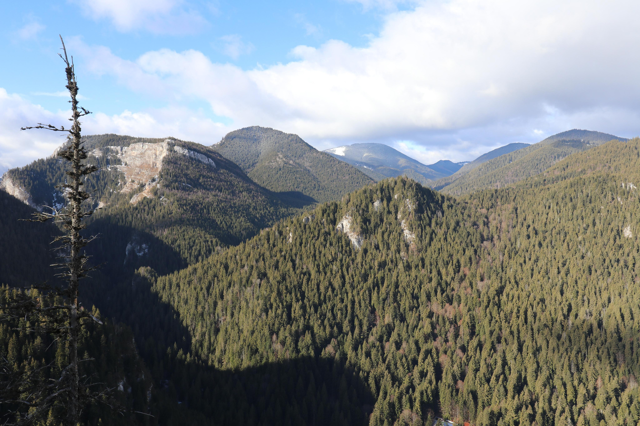 Румыния. Лаку-Рошу. Путешественник-фотограф из Санкт-Петербурга Татьяна Свистулина