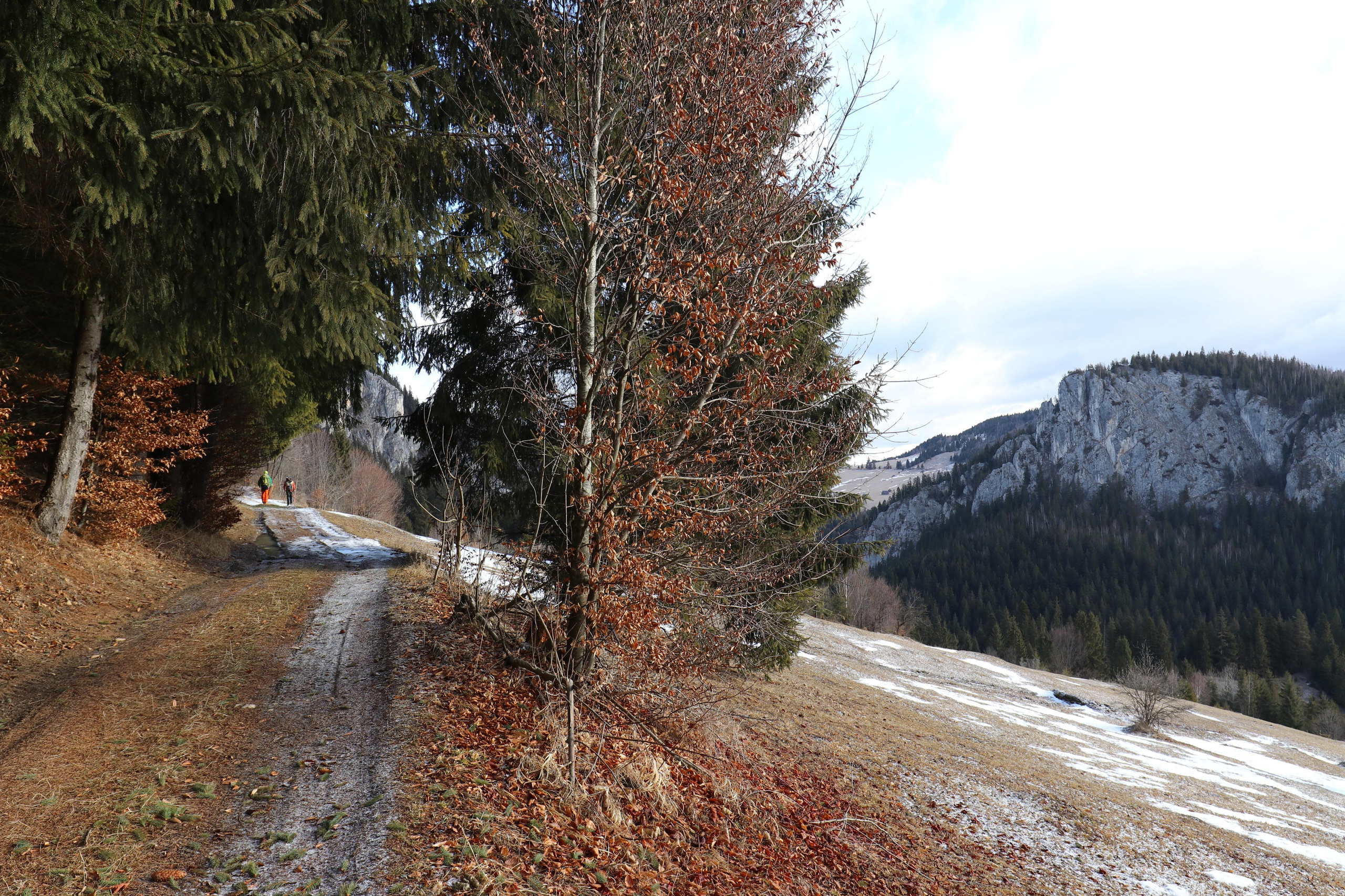 Румыния. Лаку-Рошу. Путешественник-фотограф из Санкт-Петербурга Татьяна Свистулина