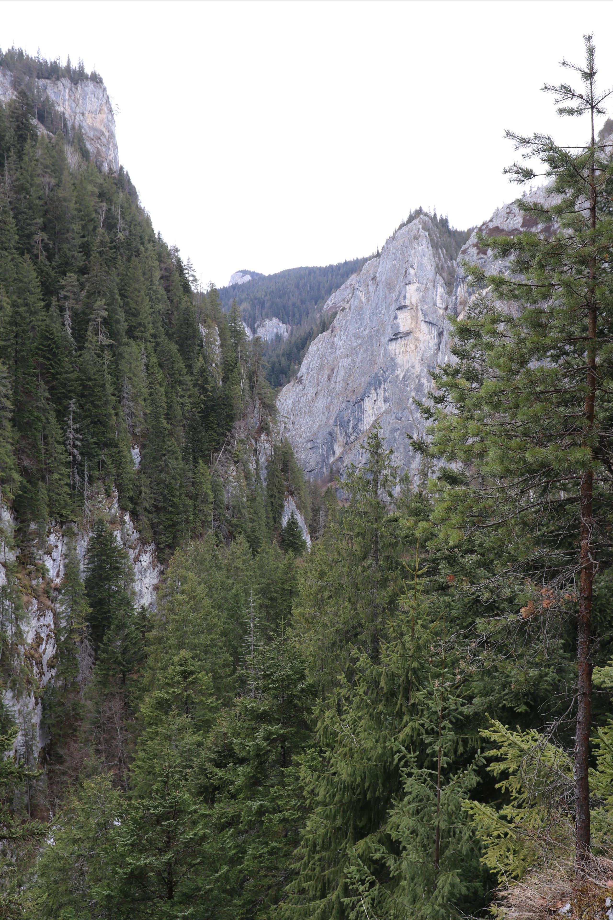 Румыния. Лаку-Рошу. Путешественник-фотограф из Санкт-Петербурга Татьяна Свистулина