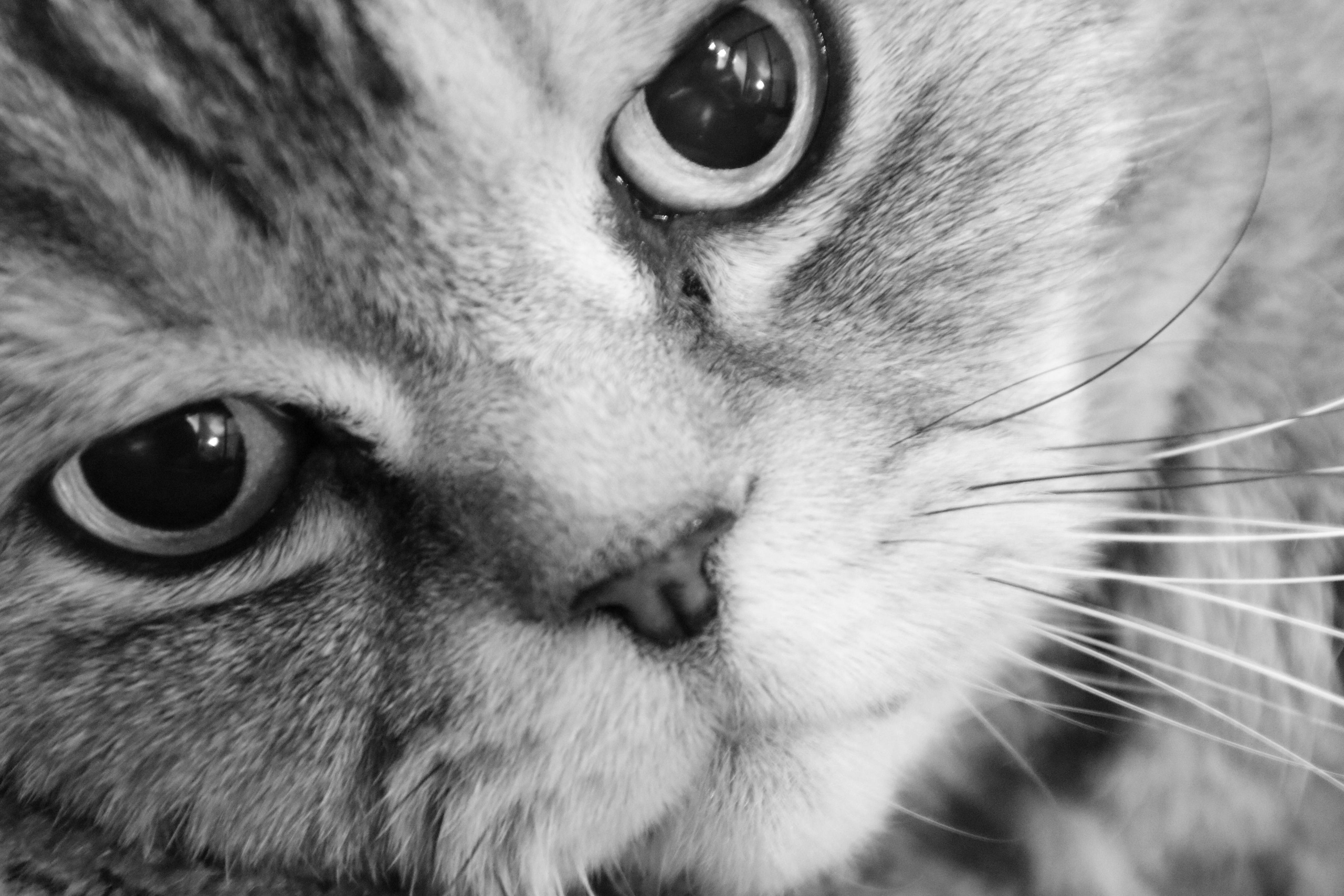 Сильвер. Путешественник-фотограф из Санкт-Петербурга Татьяна Свистулина