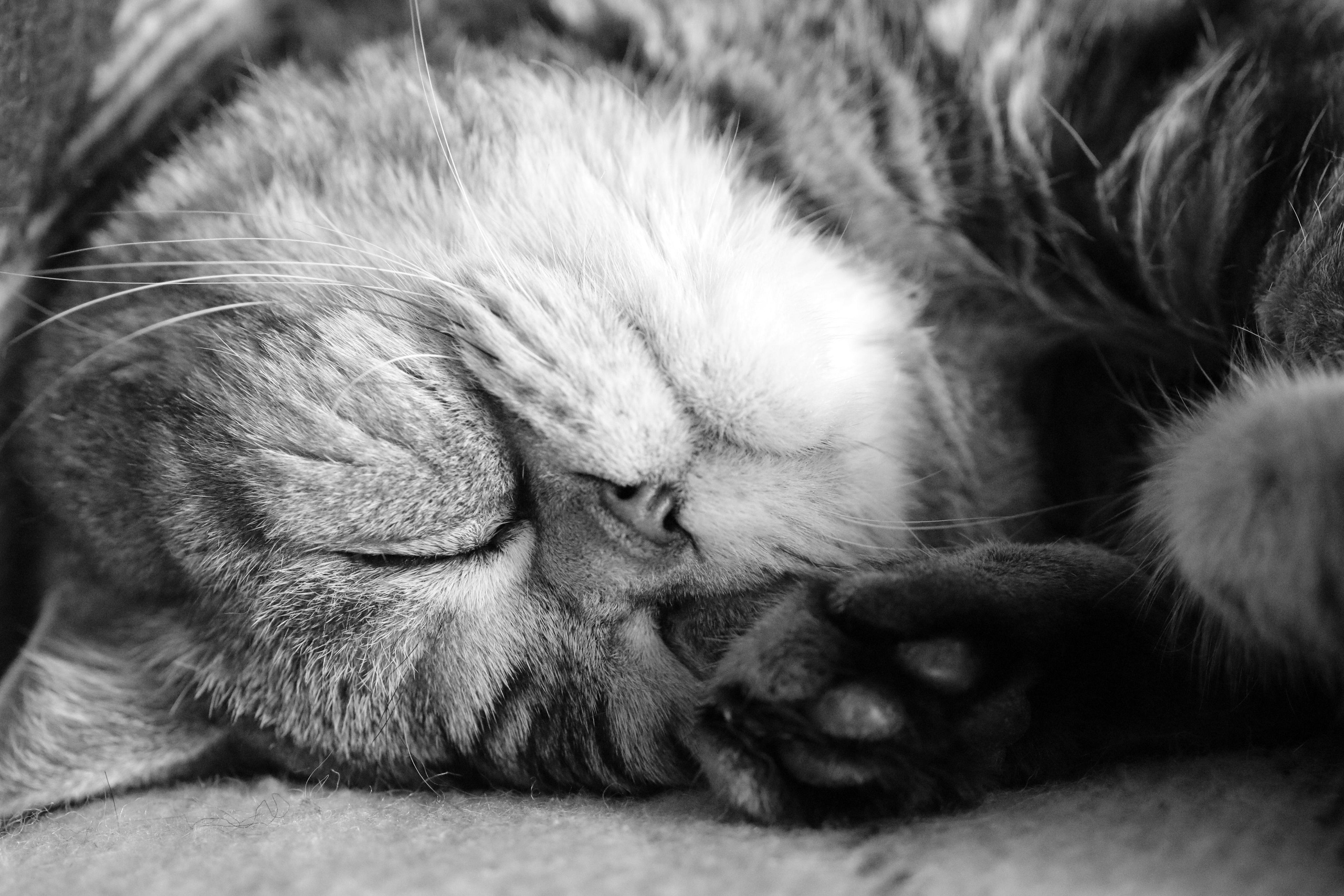 Сильвер. Путешественник-фотограф из Санкт-Петербурга Татьяна Свистулина