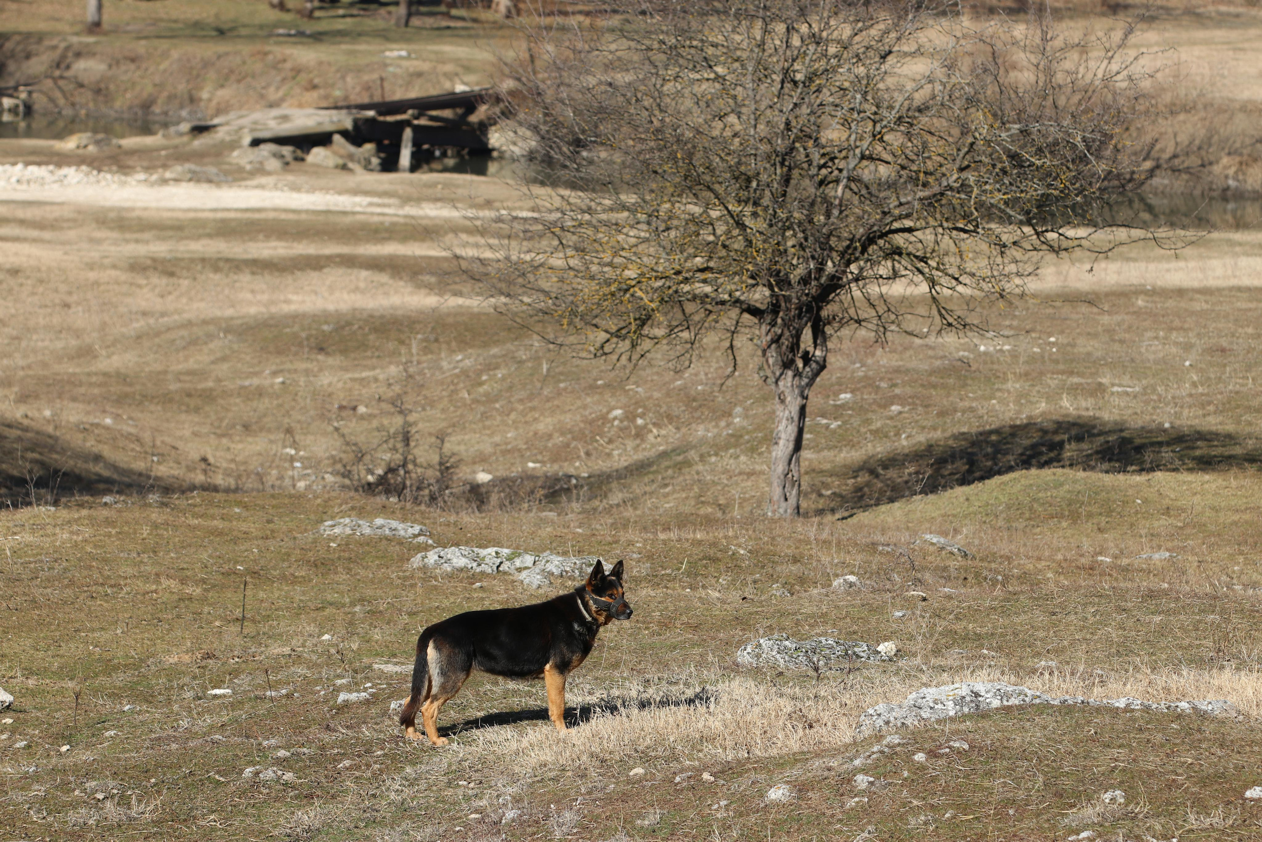 Республика Молдова. Путешественник-фотограф из Санкт-Петербурга Татьяна Свистулина