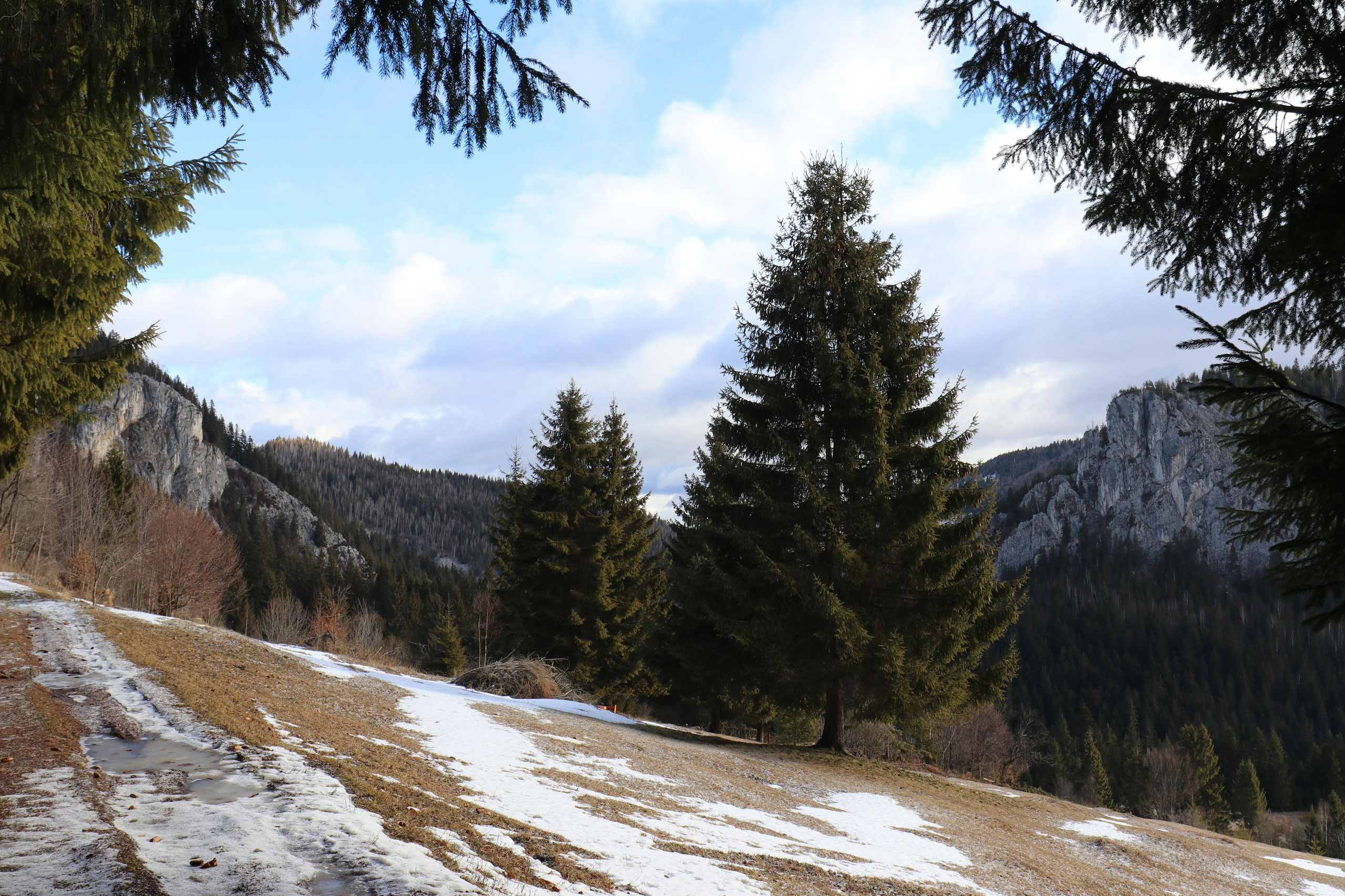 Румыния. Лаку-Рошу. Путешественник-фотограф из Санкт-Петербурга Татьяна Свистулина