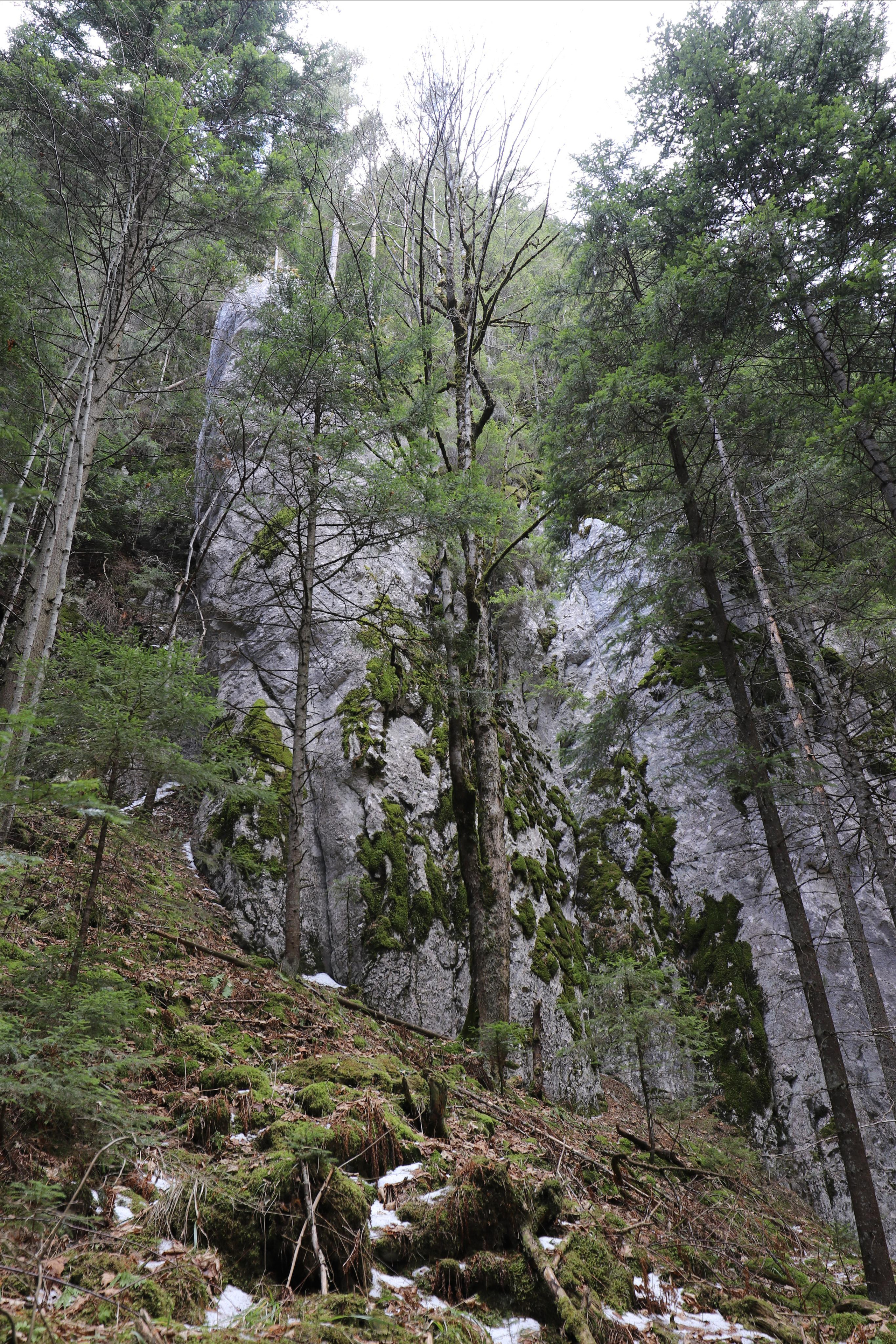Румыния. Лаку-Рошу. Путешественник-фотограф из Санкт-Петербурга Татьяна Свистулина