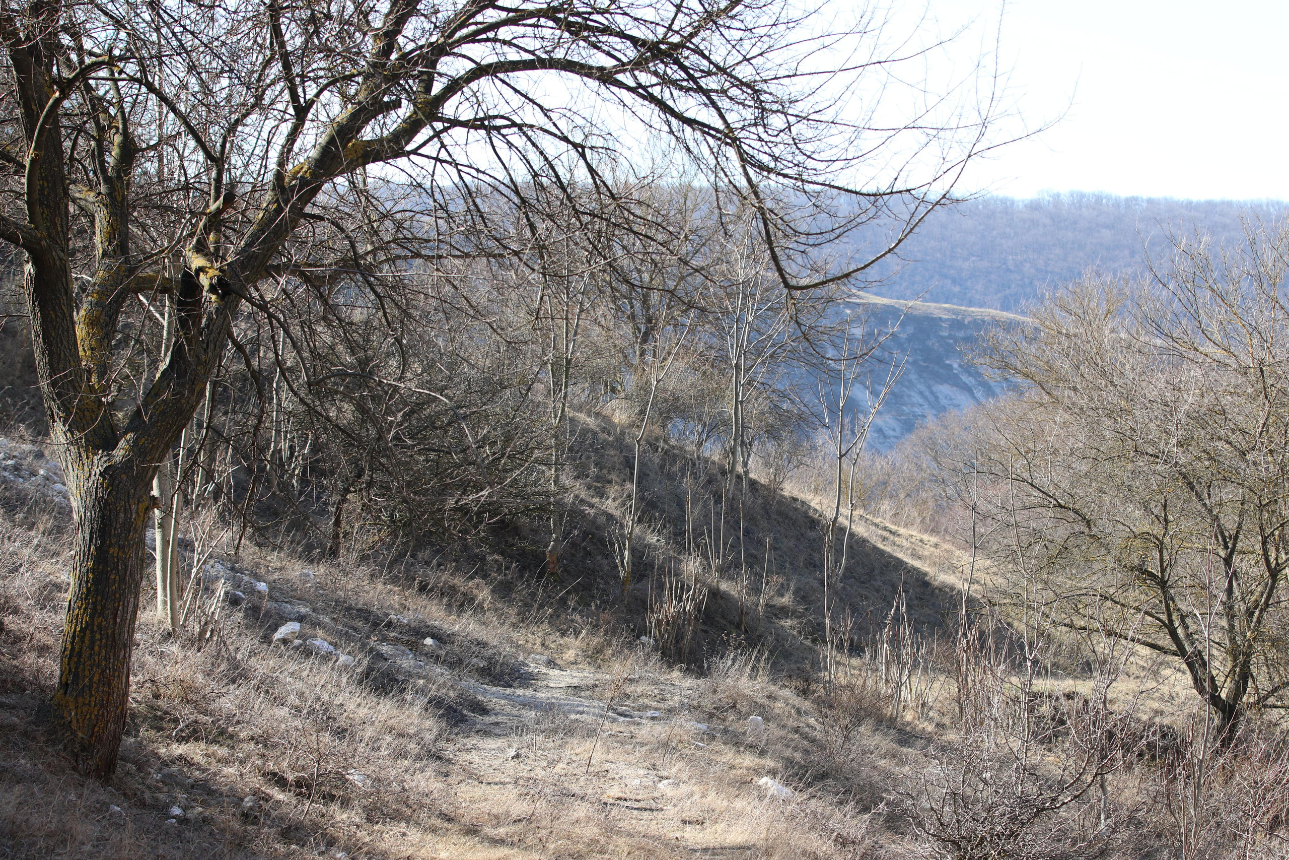 Республика Молдова. Путешественник-фотограф из Санкт-Петербурга Татьяна Свистулина