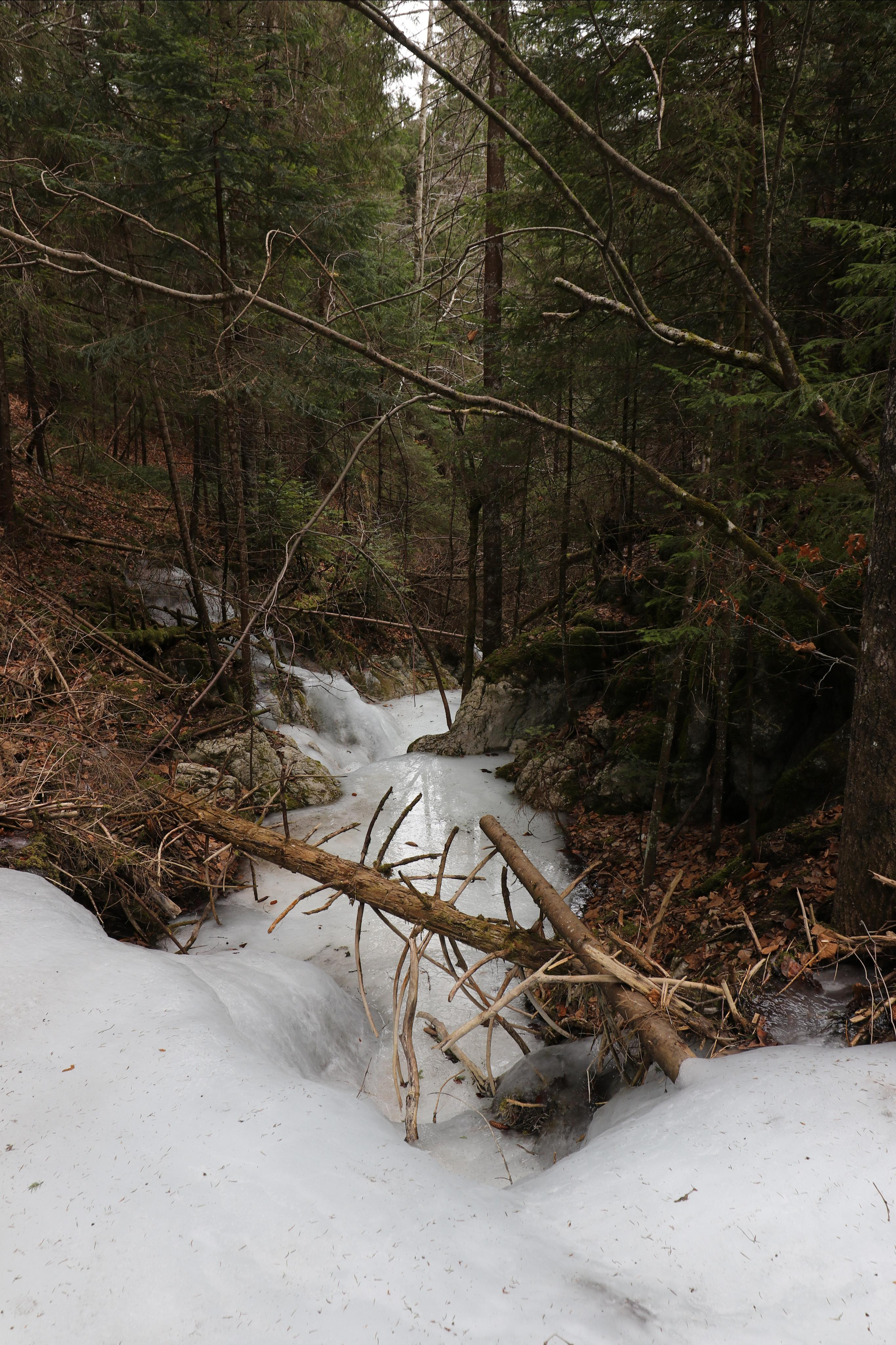 Румыния. Лаку-Рошу. Путешественник-фотограф из Санкт-Петербурга Татьяна Свистулина