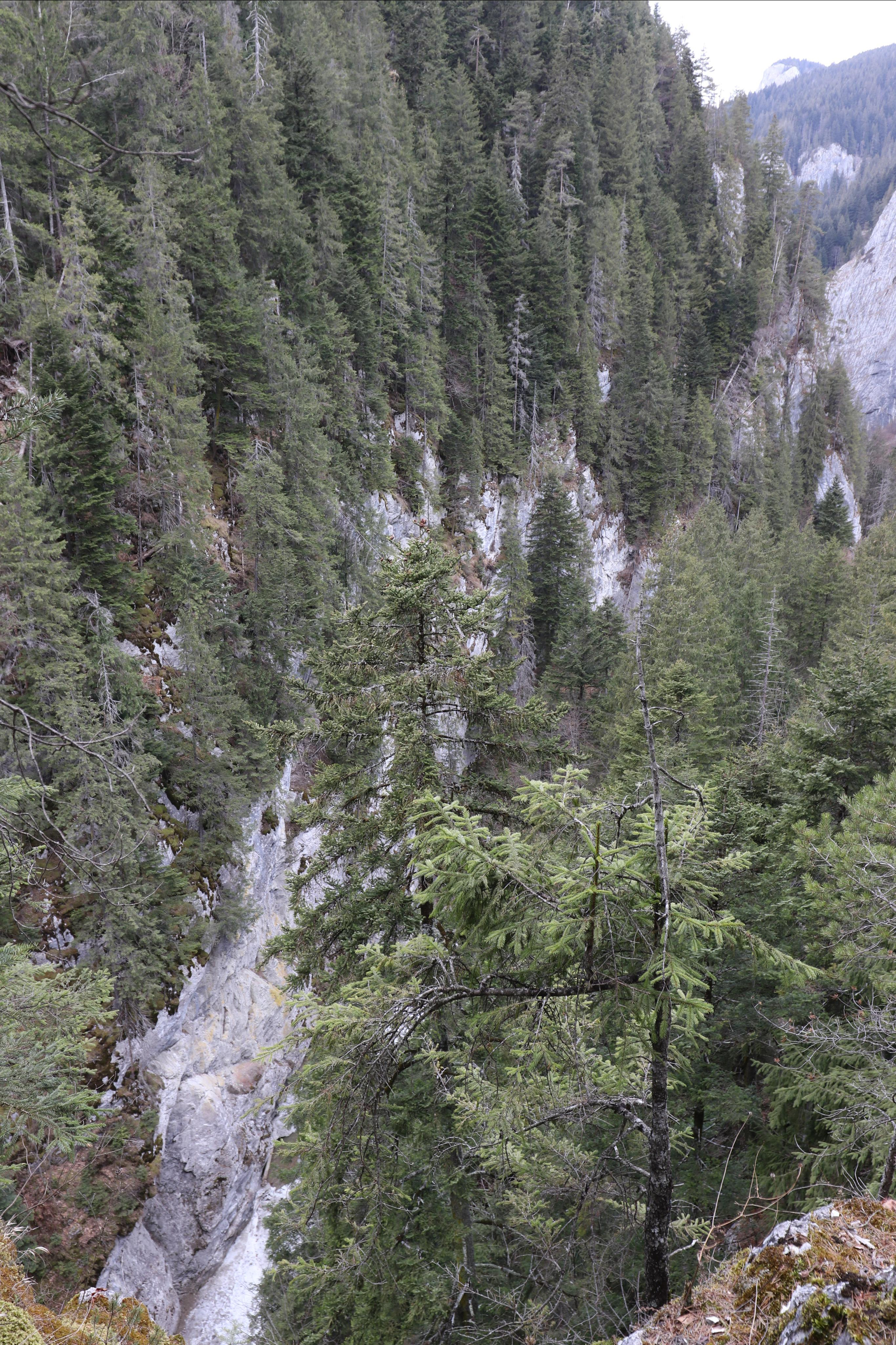 Румыния. Лаку-Рошу. Путешественник-фотограф из Санкт-Петербурга Татьяна Свистулина