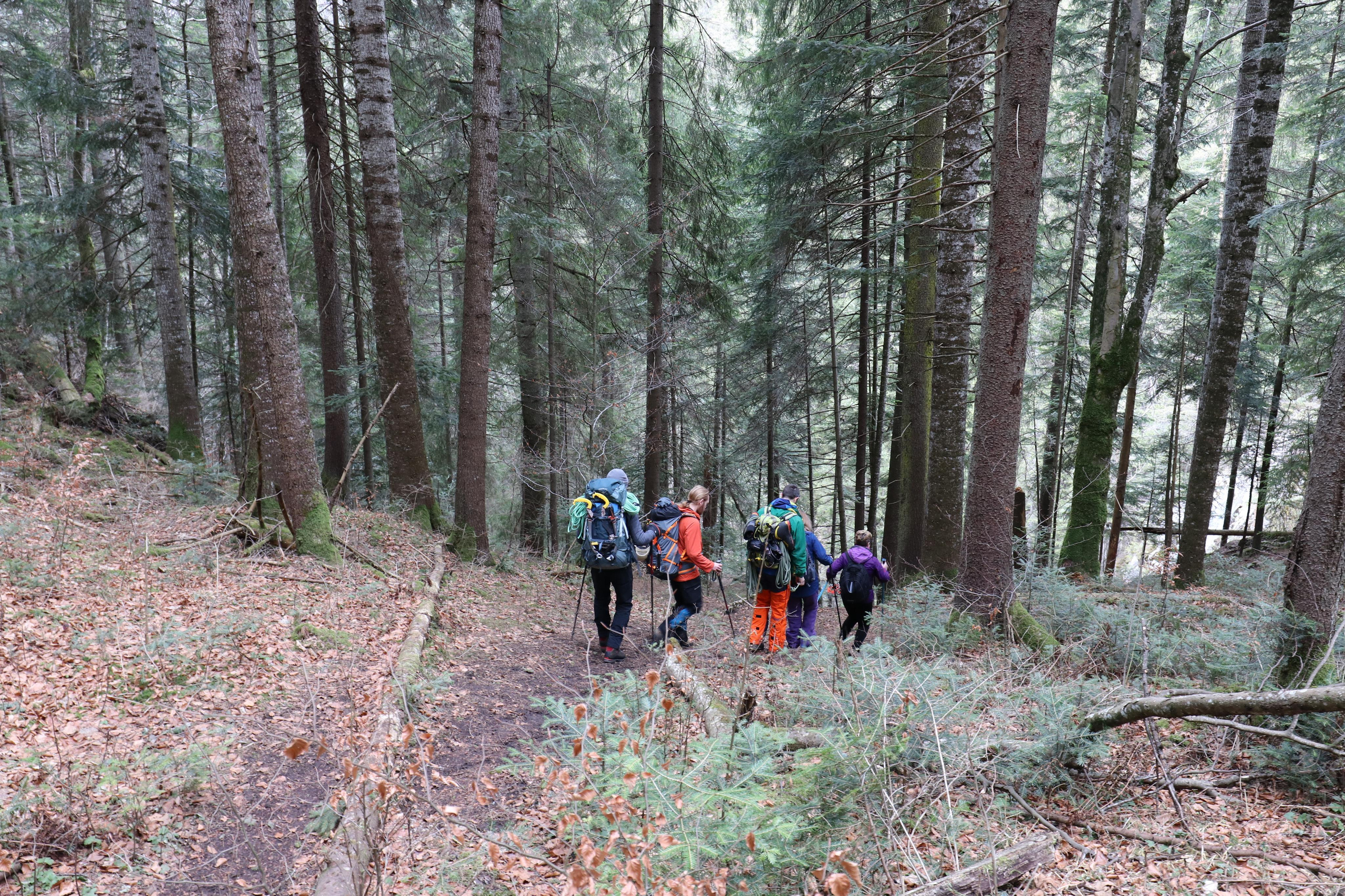 Румыния. Лаку-Рошу. Путешественник-фотограф из Санкт-Петербурга Татьяна Свистулина