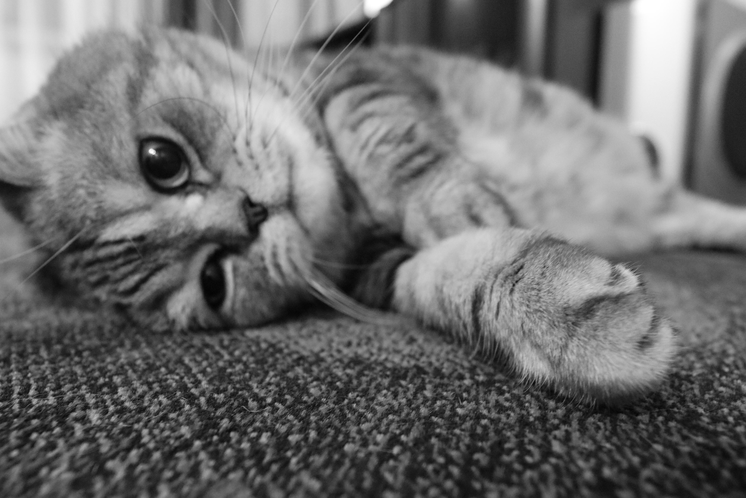 Сильвер. Путешественник-фотограф из Санкт-Петербурга Татьяна Свистулина