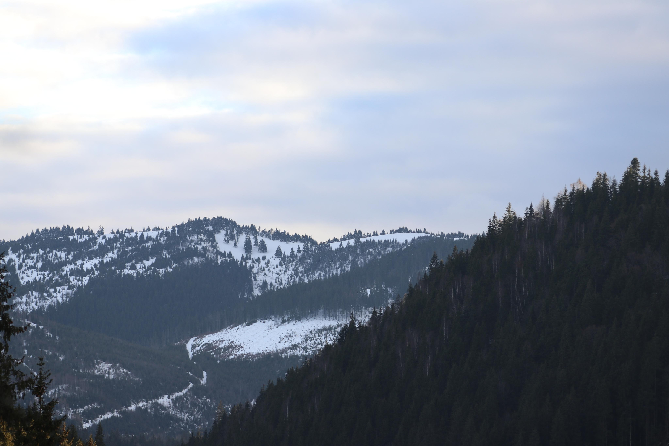 Румыния. Лаку-Рошу. Путешественник-фотограф из Санкт-Петербурга Татьяна Свистулина