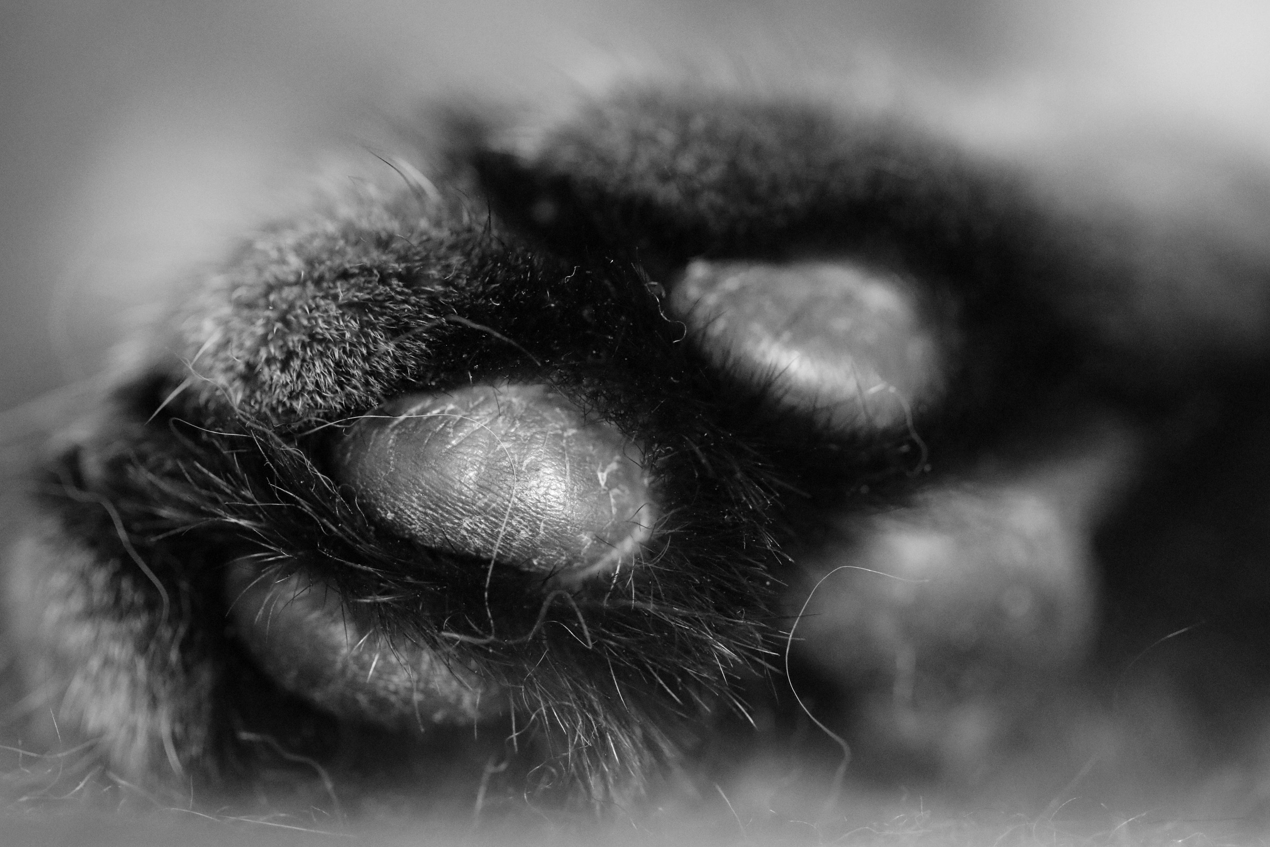 Сильвер. Путешественник-фотограф из Санкт-Петербурга Татьяна Свистулина