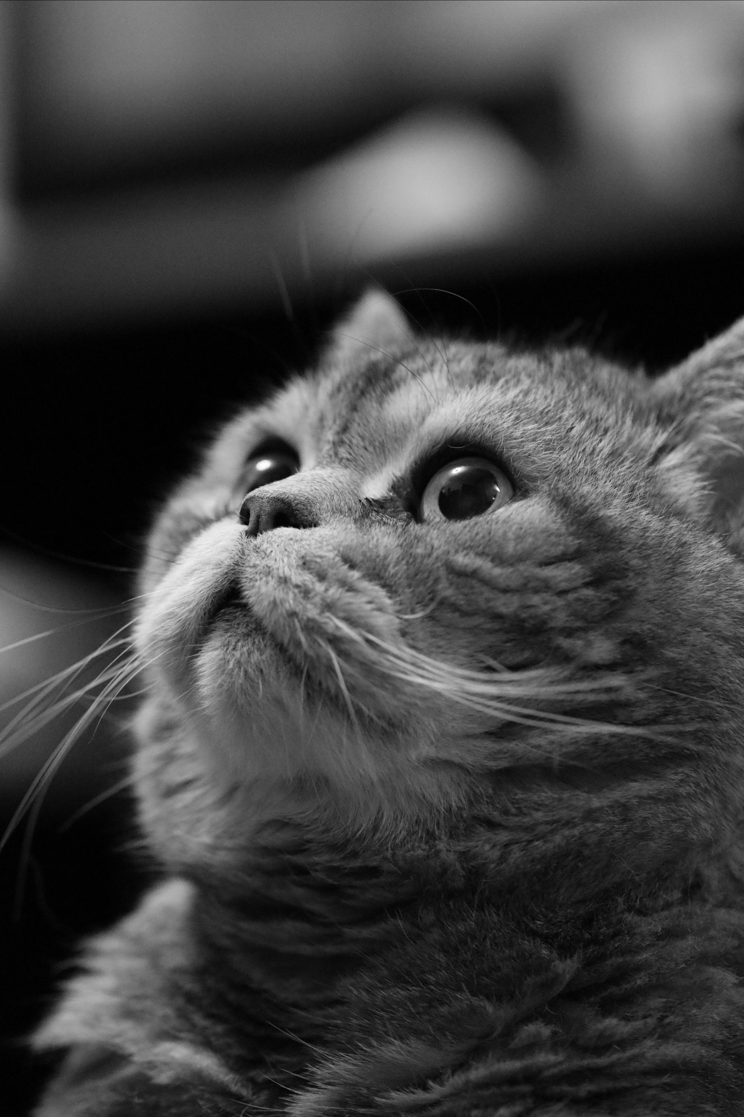 Сильвер. Путешественник-фотограф из Санкт-Петербурга Татьяна Свистулина