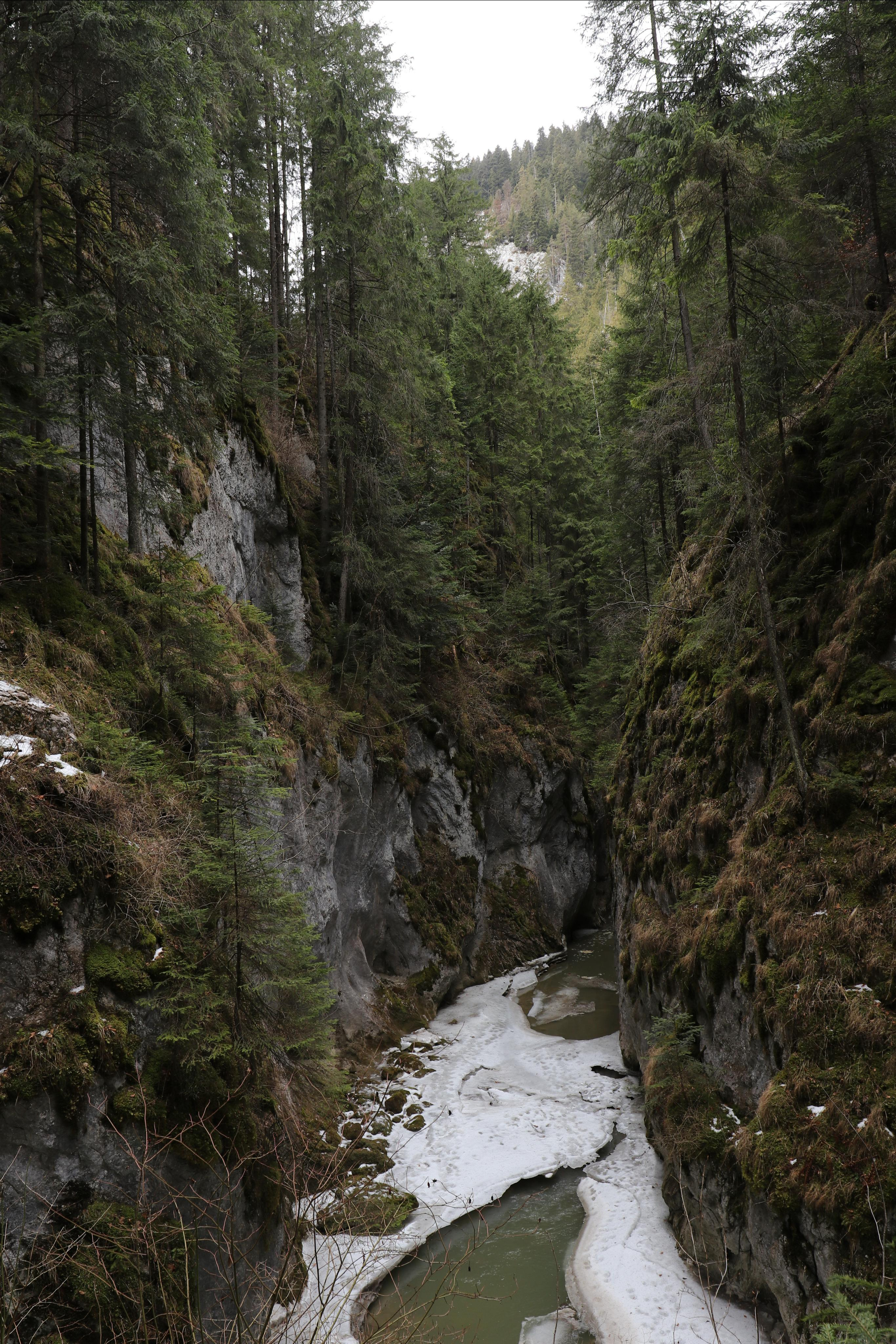 Румыния. Лаку-Рошу. Путешественник-фотограф из Санкт-Петербурга Татьяна Свистулина