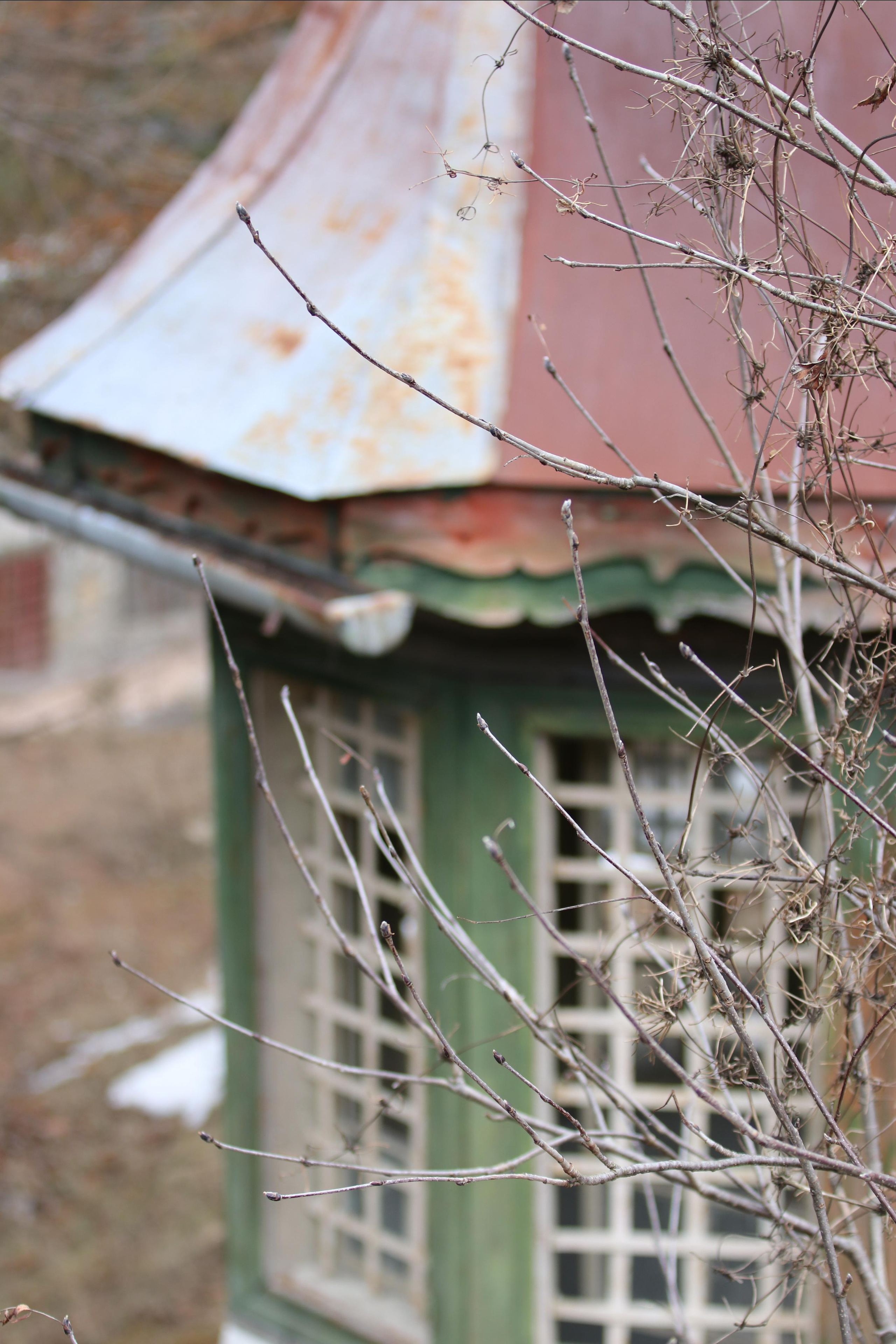 Румыния. Лаку-Рошу. Путешественник-фотограф из Санкт-Петербурга Татьяна Свистулина