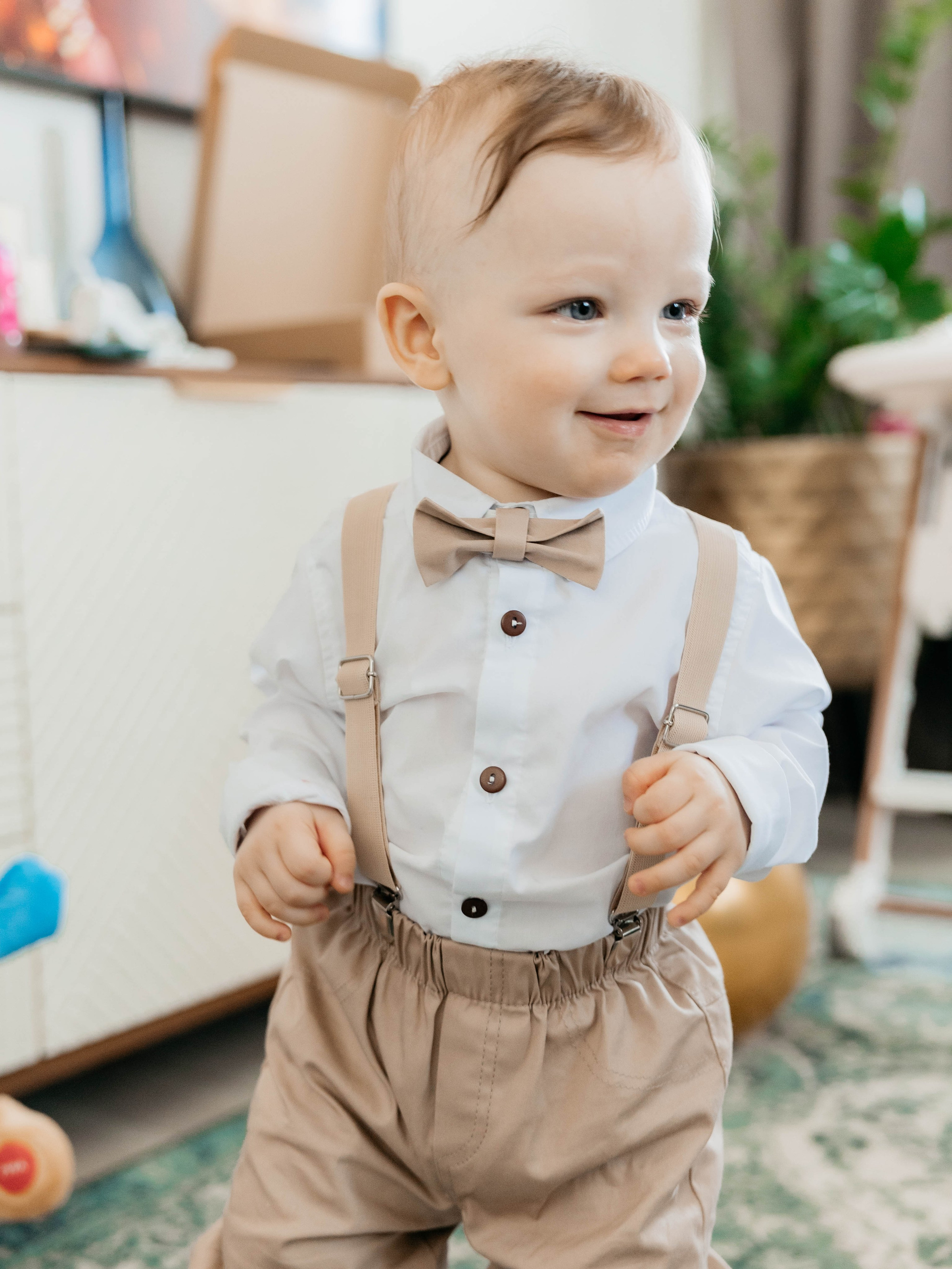 Лев. 2024 г. Персональный фотограф Катерина Литвинова