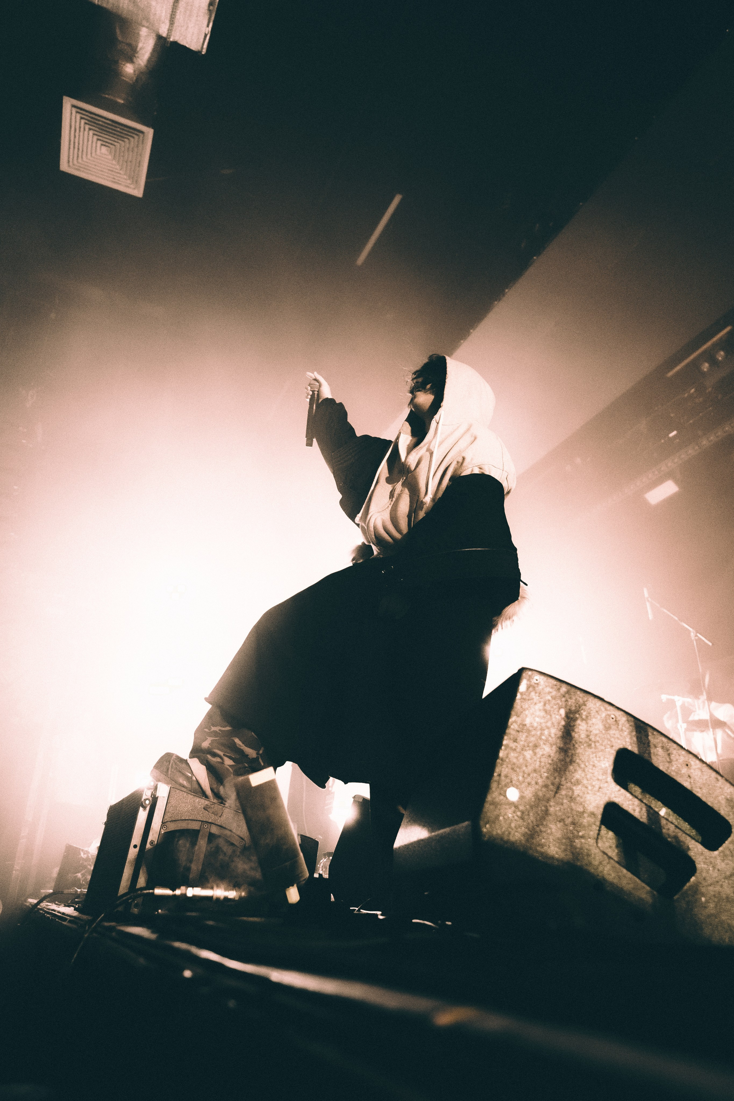 SALUKI. PASHAHARCE PHOTOGRAPHER & VIDEOGRAPHER